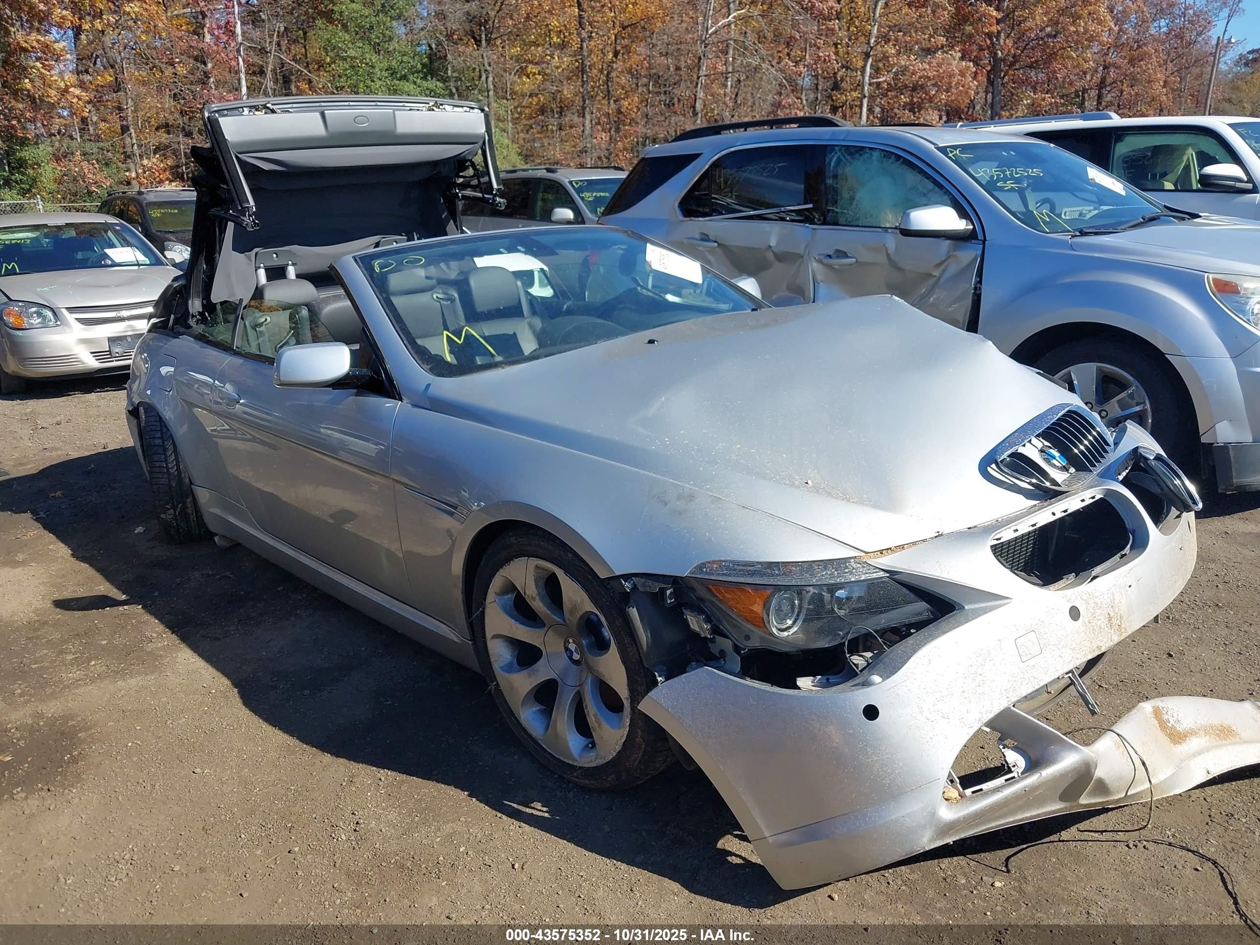 2006 BMW 6 Series 650Ci, VIN WBAEK13446CN76442 — Front end