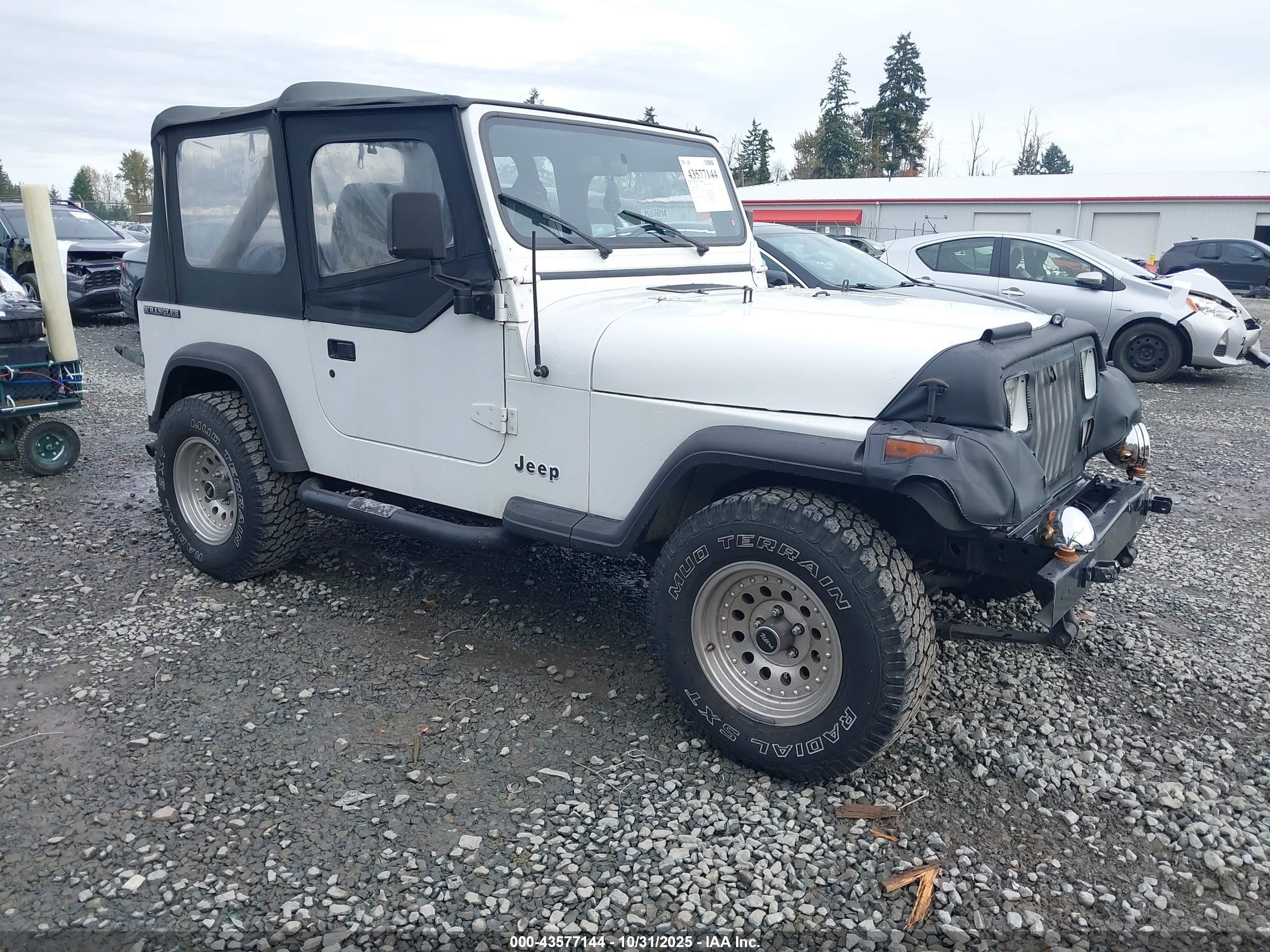 1991 Jeep Wrangler S, VIN 2J4FY19P5MJ118851 — Front end