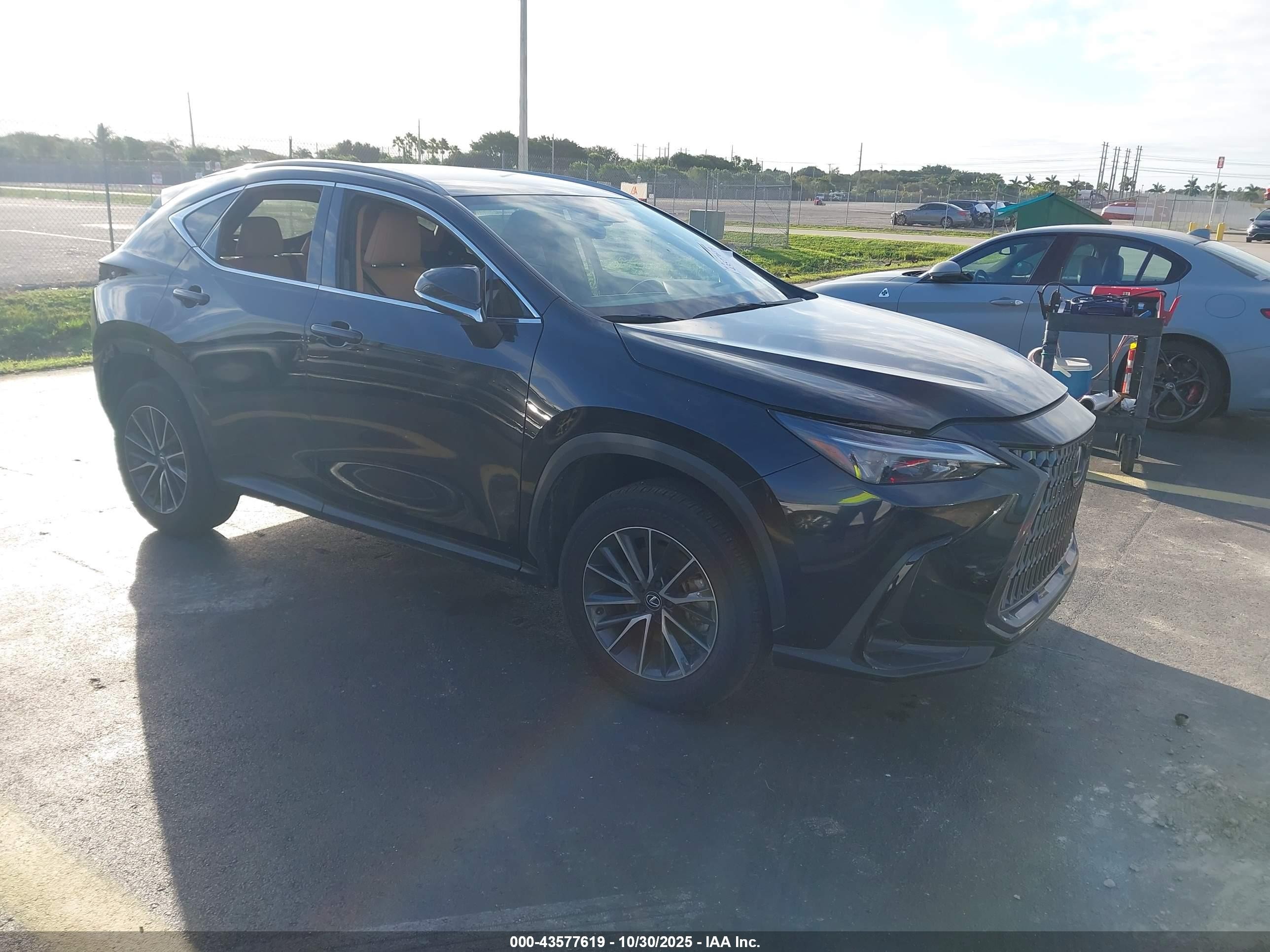 2024 Lexus NX 250, VIN 2T2ADCAZ3RC014478 — Стихия
