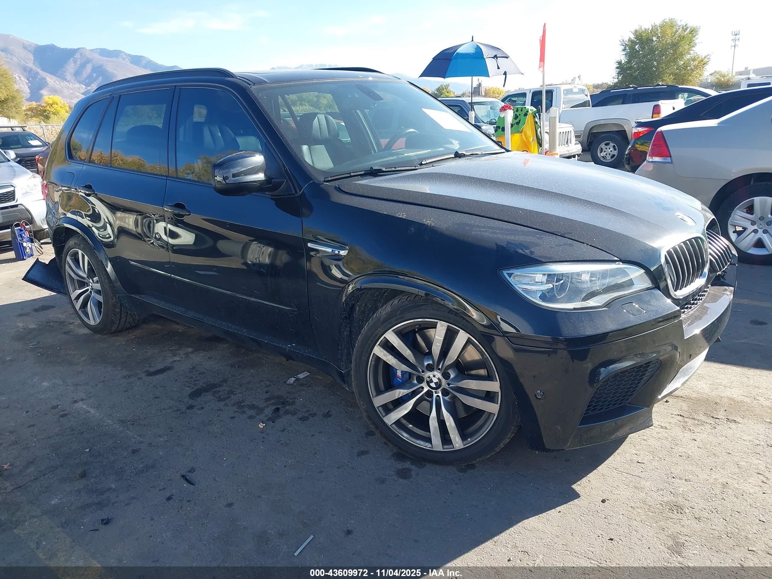 2013 BMW X5 M, VIN 5YMGY0C52D0C11764 — Rear end