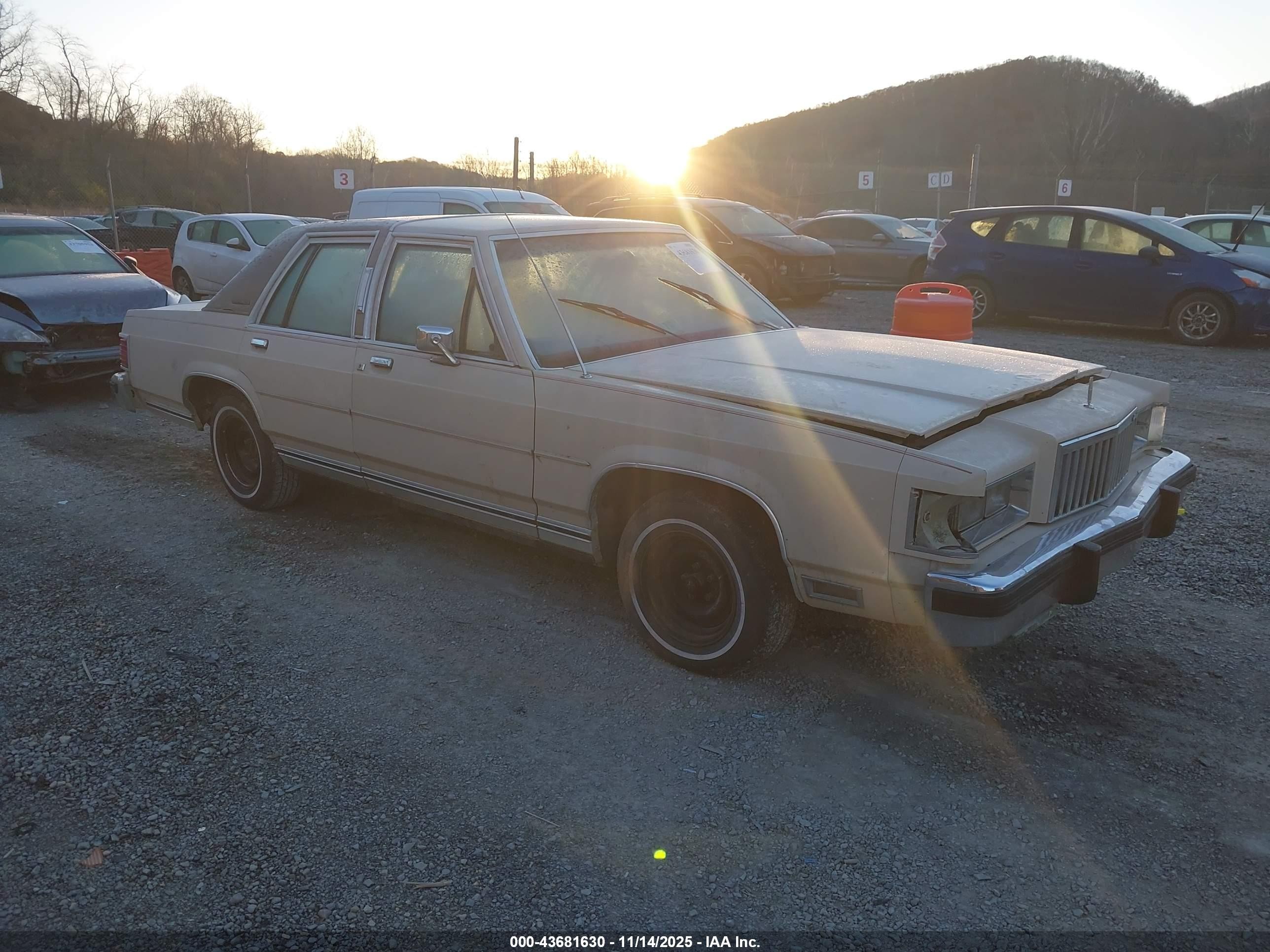 1985 Mercury Grand Marquis, VIN 2MEBP95F9FX615581 — Бок
