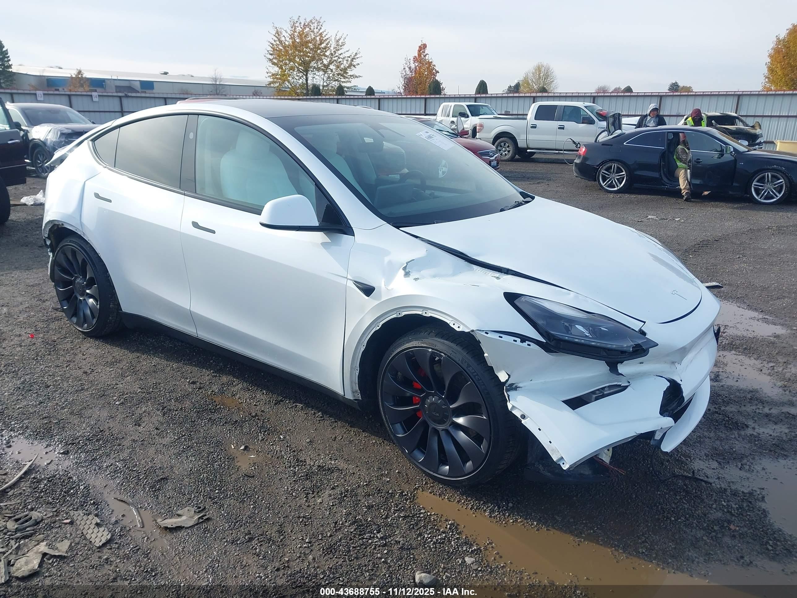 2024 Tesla Model Y Performance, VIN 7SAYGDEF5RA267491 — All over