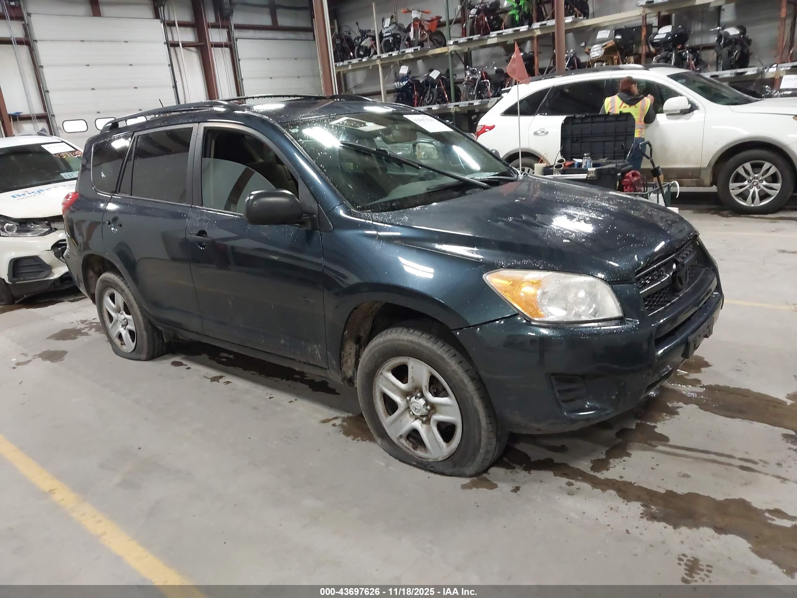 2011 Toyota RAV4, VIN 2T3BF4DV2BW093137 — Front end