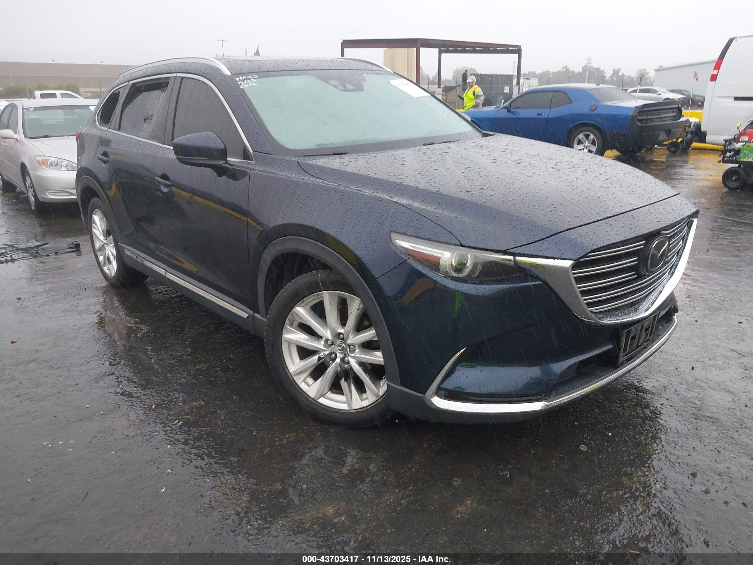 2016 Mazda CX-9 Grand Touring, VIN JM3TCADY2G0105764 — Vandalism