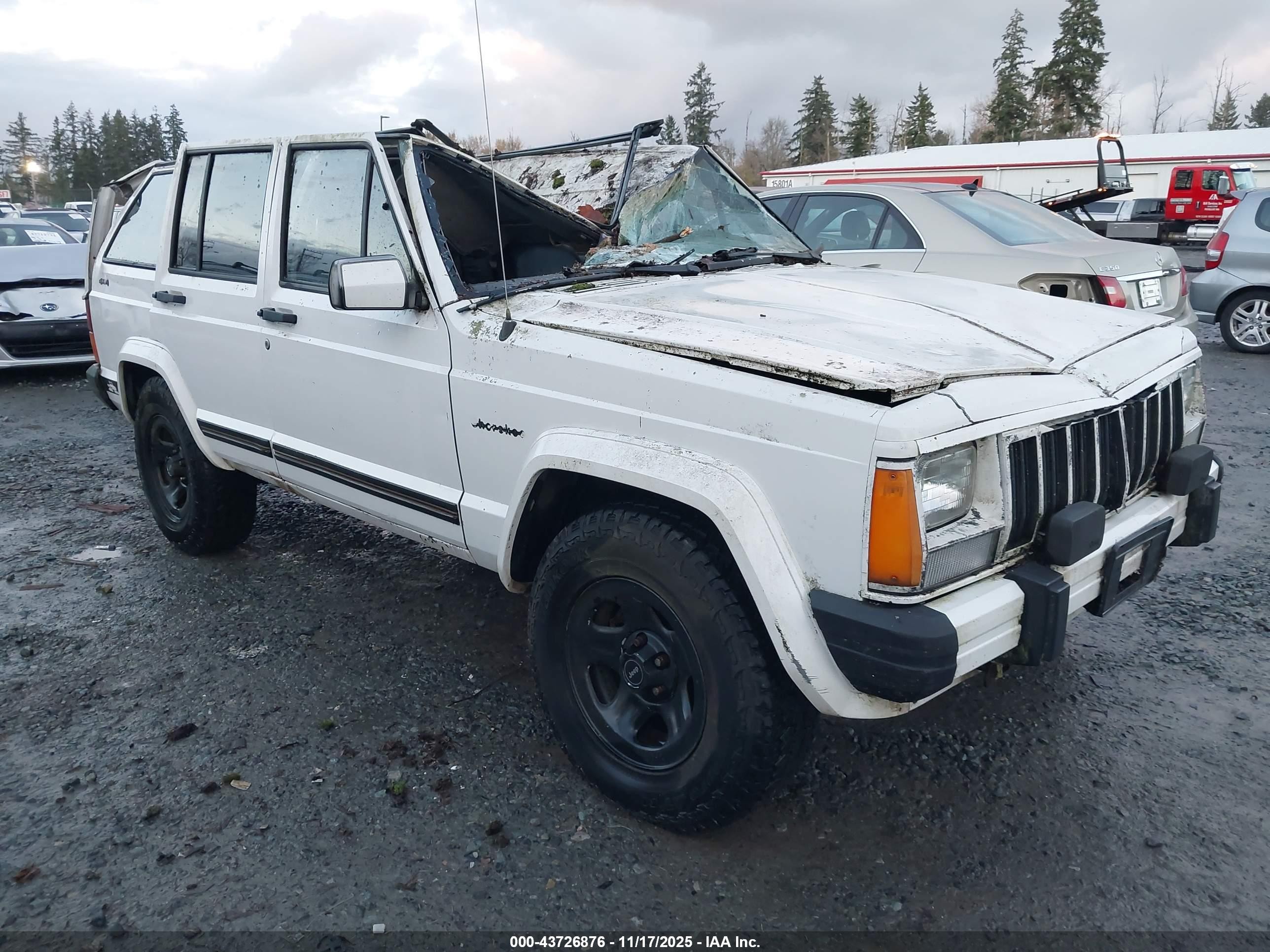 1988 Jeep Cherokee Limited, VIN 1JCMT7894JT253325 — Storm
