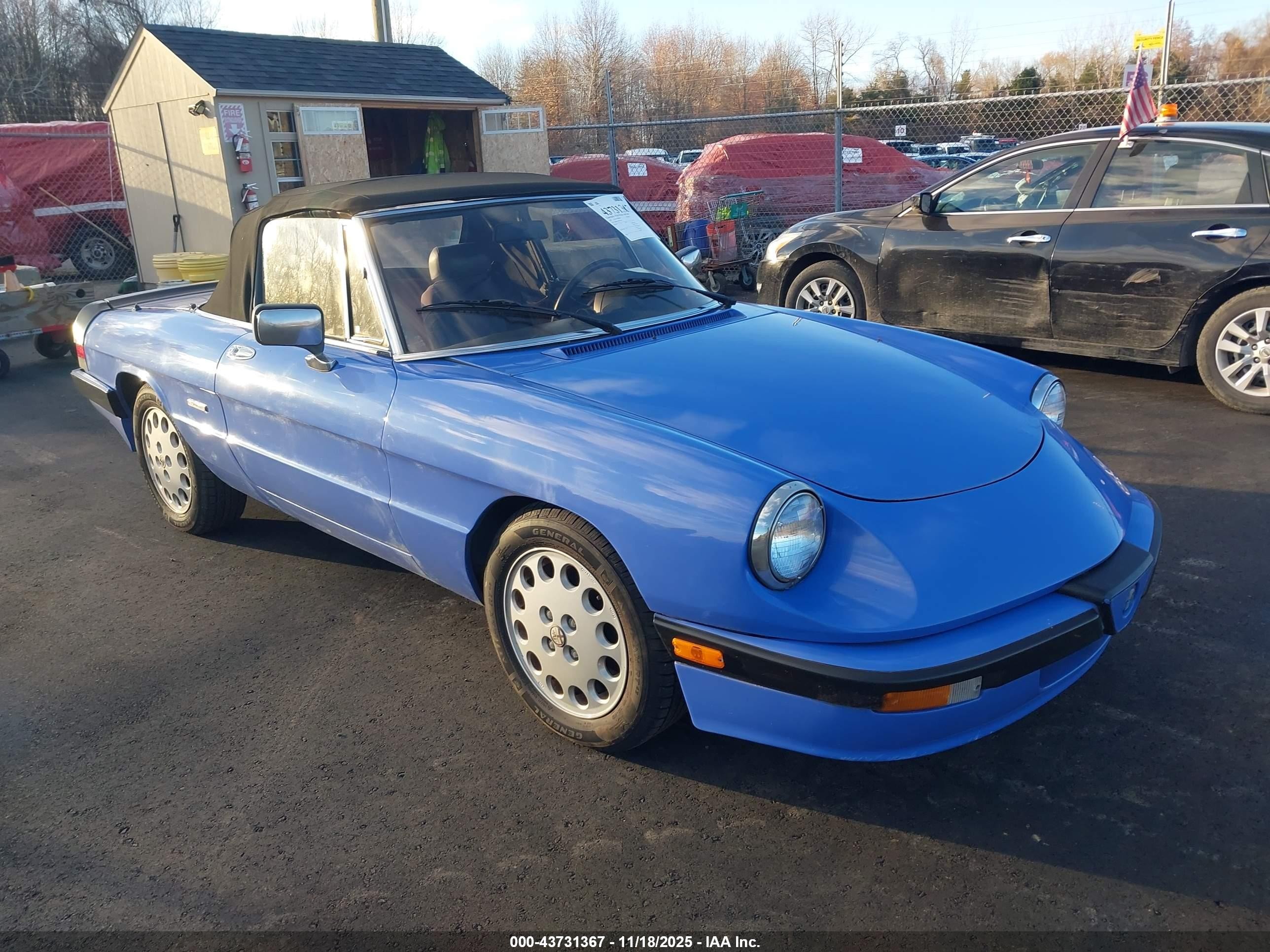 1987 Alfa Romeo Spider, VIN ZARBA5564H1052551 — Обычный износ