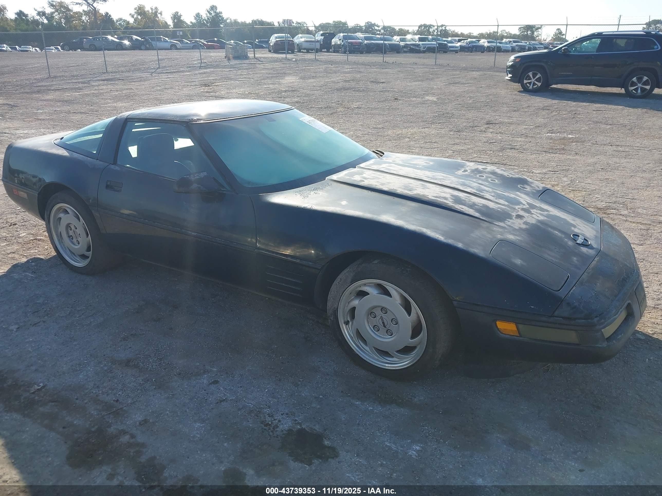 1991 Chevrolet Corvette, VIN 1G1YY2382M5103110 — Water / flood