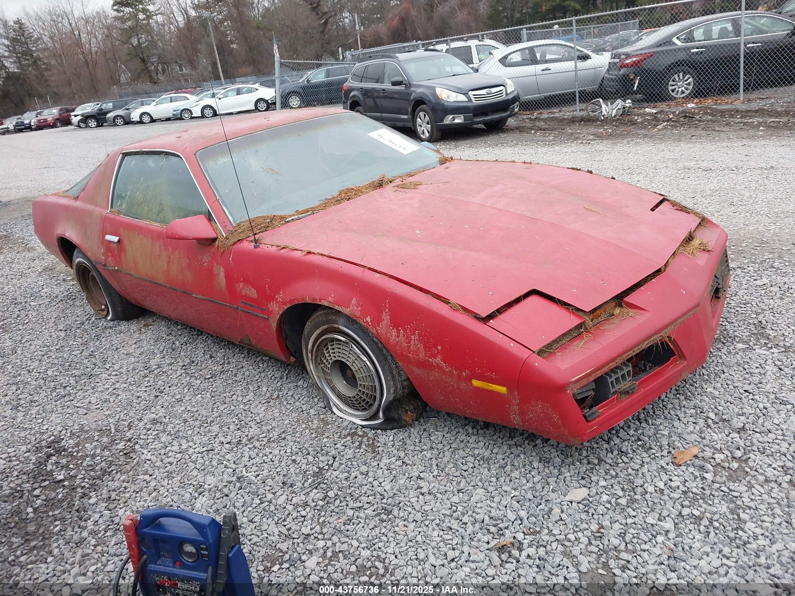 1983 Pontiac Firebird, VIN 1G2AS8718DN214145 — Normal wear