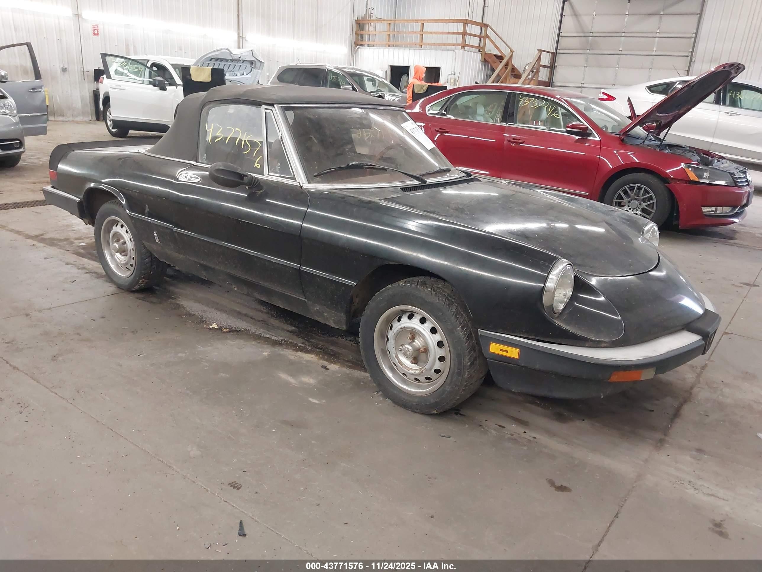 1985 Alfa Romeo Spider Veloce, VIN ZARBA5419F1023291 — Электрика