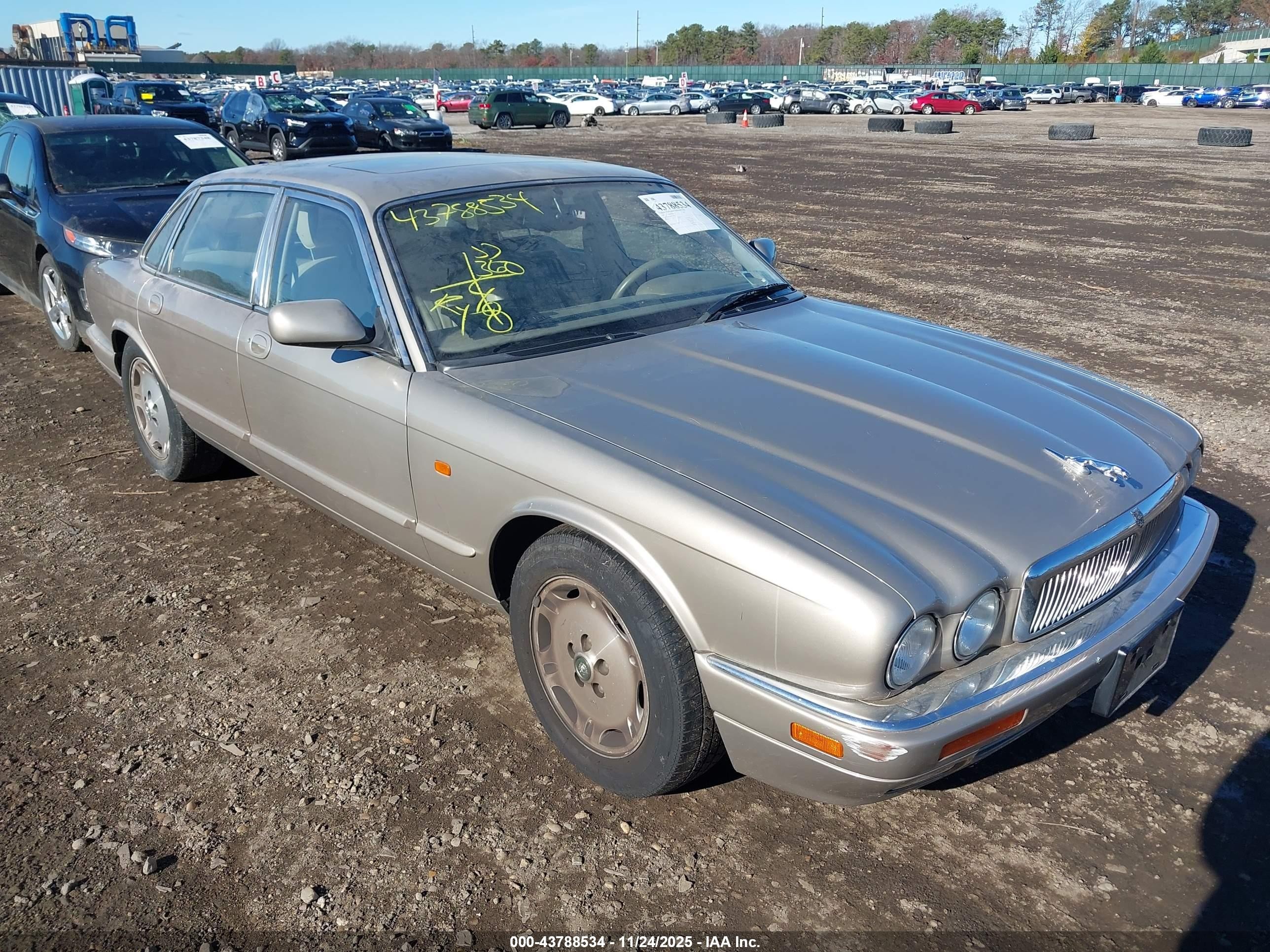 1982 Jaguar XJ, VIN SAJHX1740SC724383 — Front end