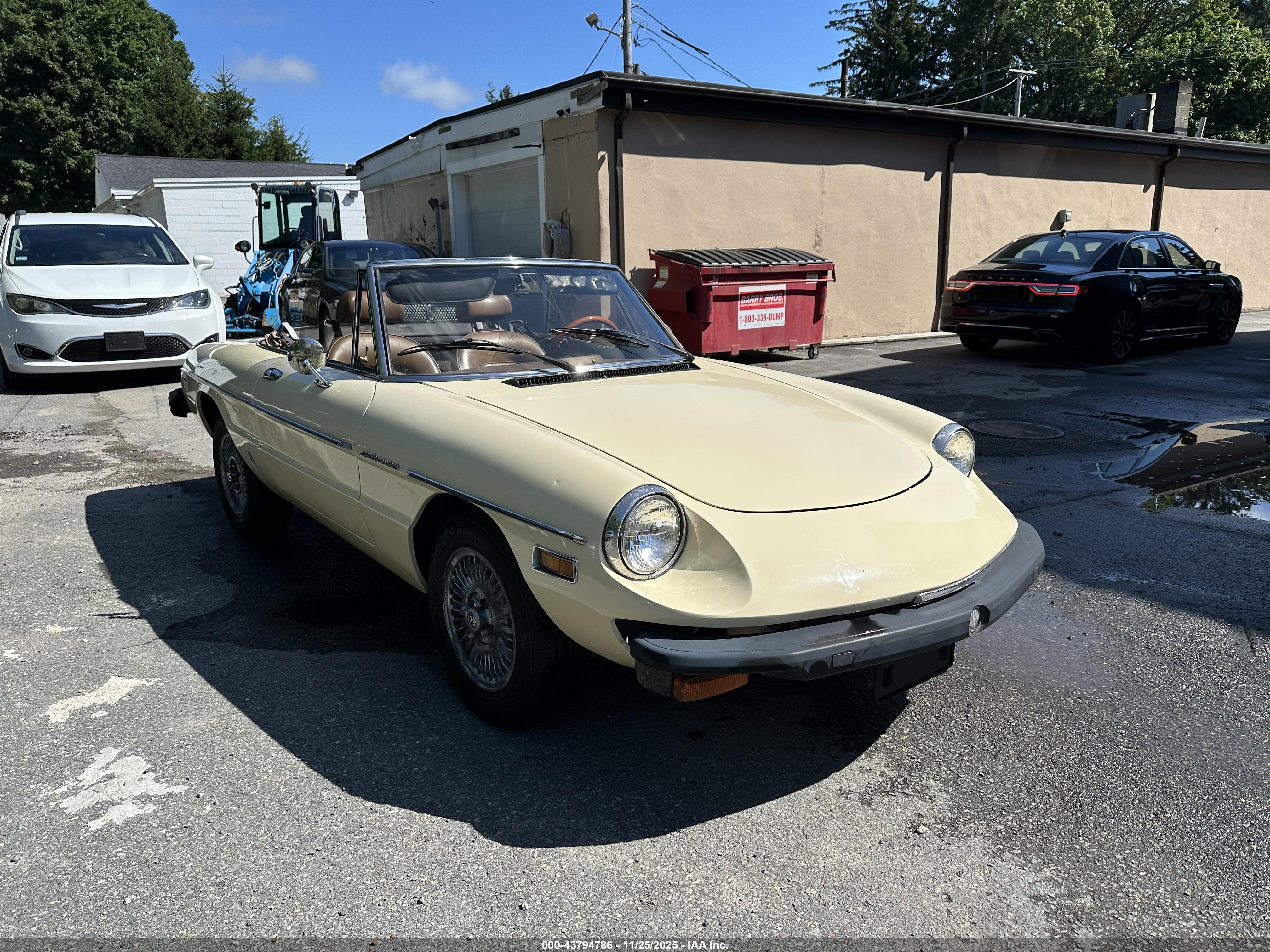 1982 Alfa Romeo Spider Veloce, VIN ZARBA5418C1015601 — Normal wear