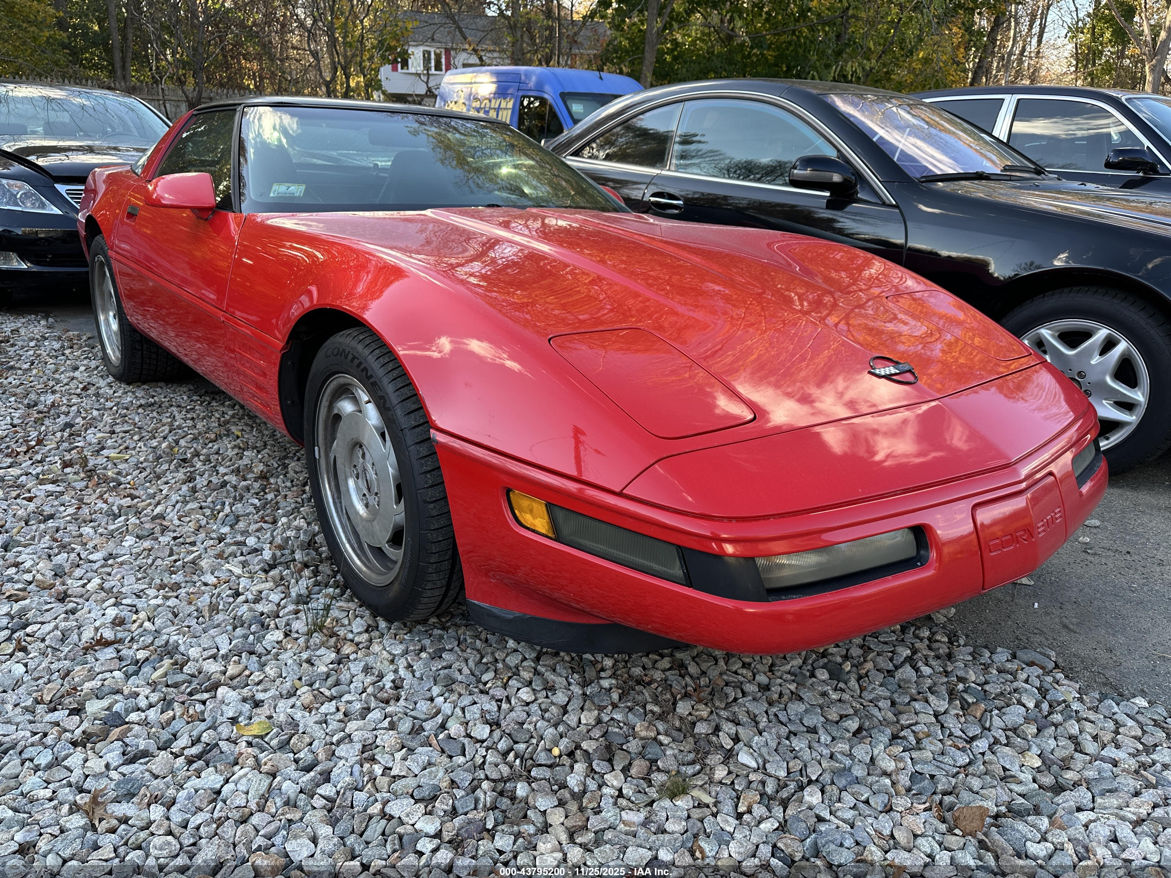 1994 Chevrolet Corvette, VIN 1G1YY22P4R5108017 — Normal wear
