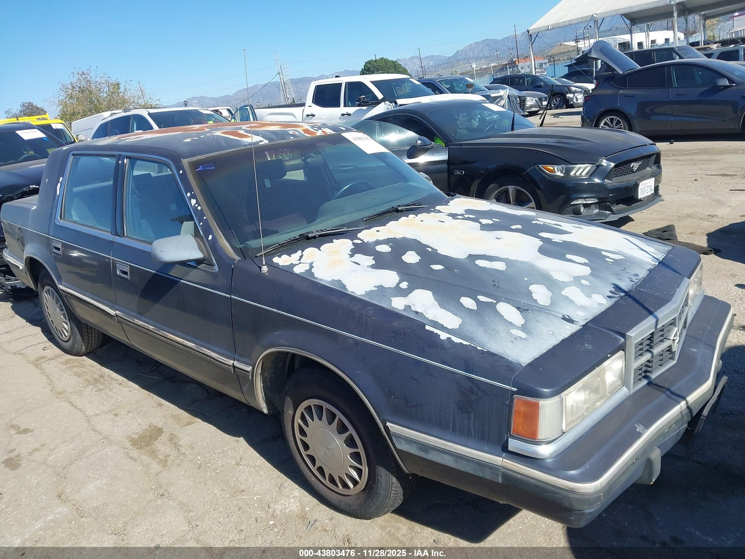1991 Dodge Dynasty LE, VIN 1B3XC56R4MD253430 — All over