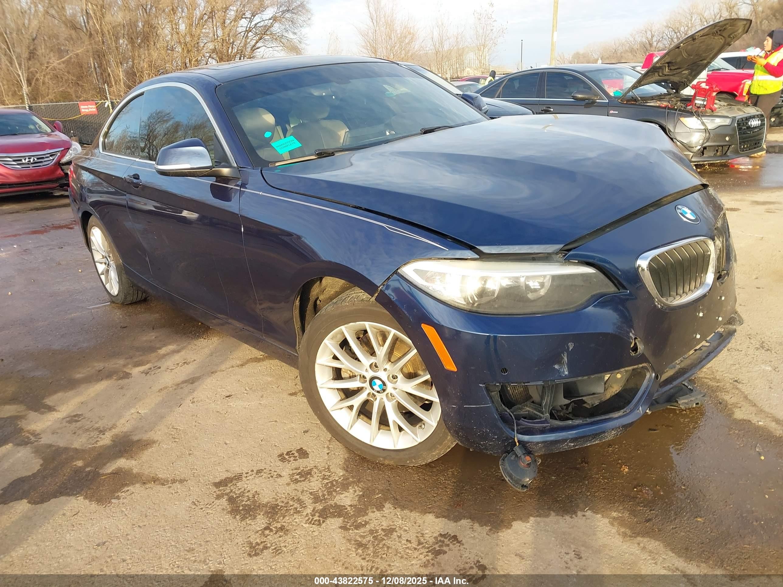 2016 BMW 2 Series 228i, VIN WBA1F9C57GV544424 — Front end