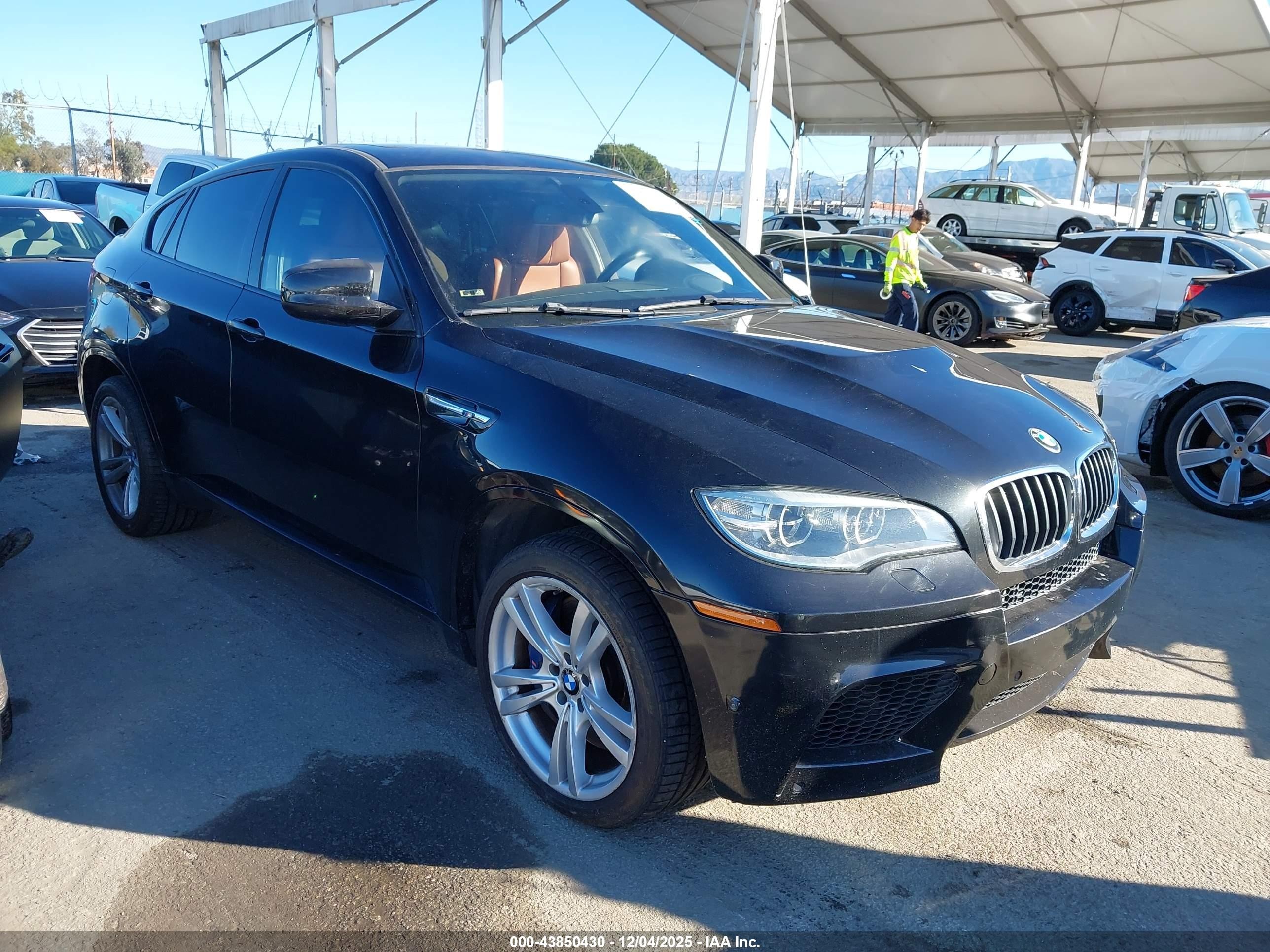 2014 BMW X6 M, VIN 5YMGZ0C55E0C40531 — Rear end