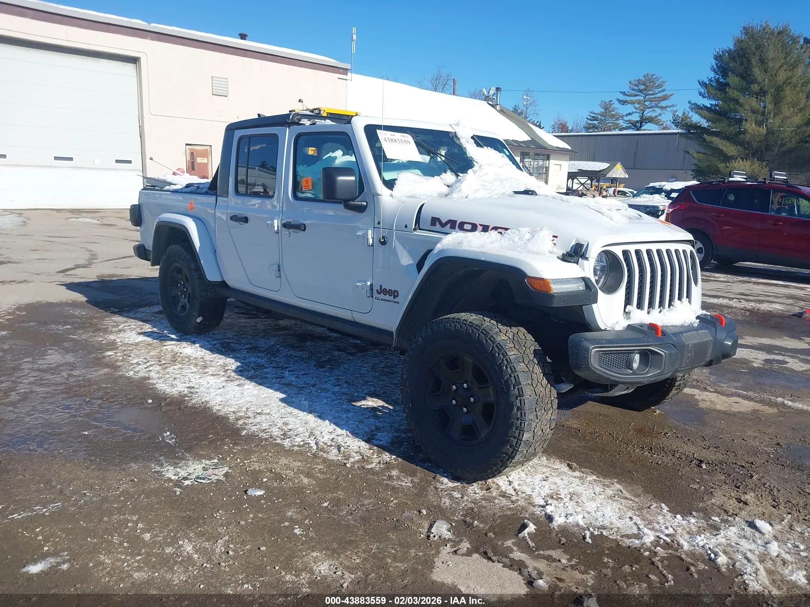 2021 Jeep Gladiator Mojave, VIN 1C6JJTEG7ML574888 — Биологическое загрязнение