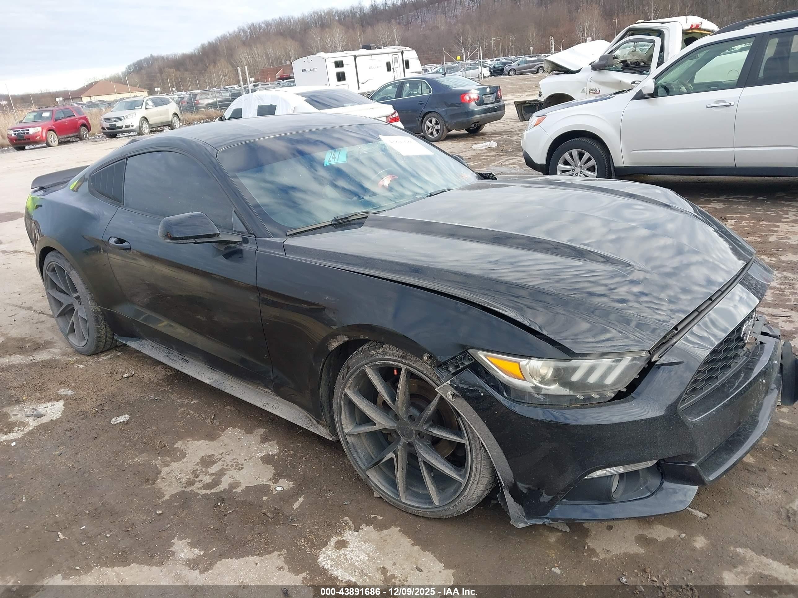 2016 Ford Mustang V6, VIN 1FA6P8AM9G5292997 — Front end