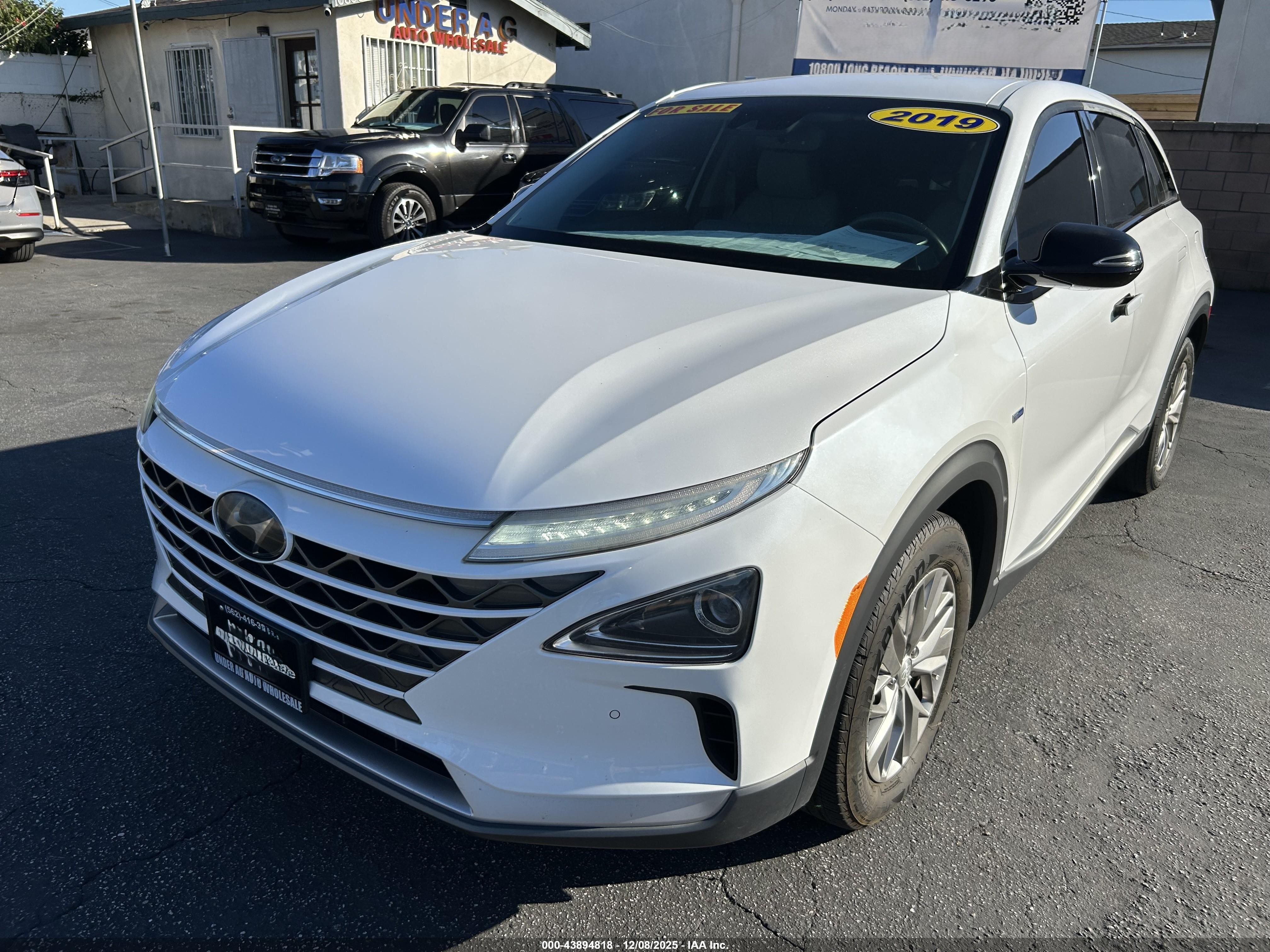 2019 Hyundai NEXO Blue, VIN KM8J74A66KU001123 — Normal wear