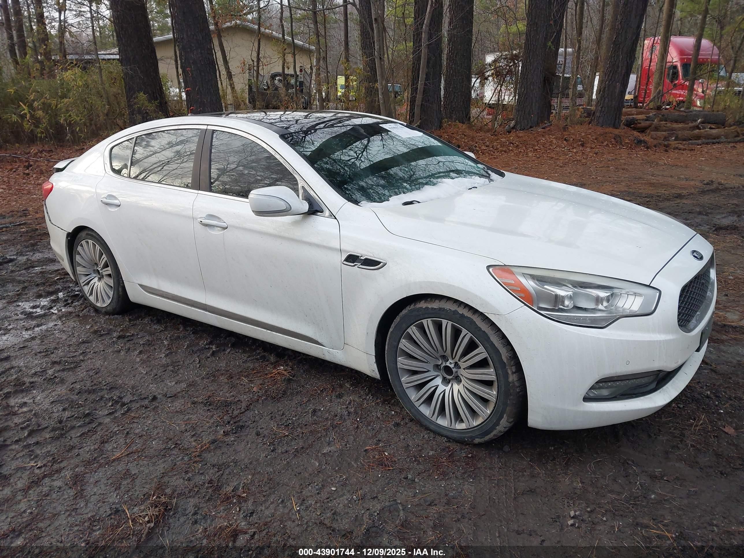 2015 Kia K900 Premium, VIN KNALU4D4XF6024735 — Rear end