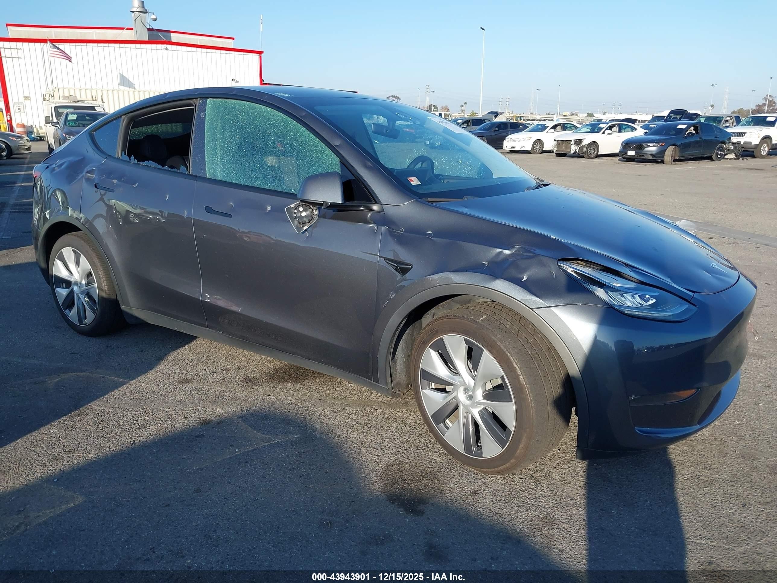 2023 Tesla Model Y Long Range, VIN 7SAYGDEE6PA039892 — Vandalism