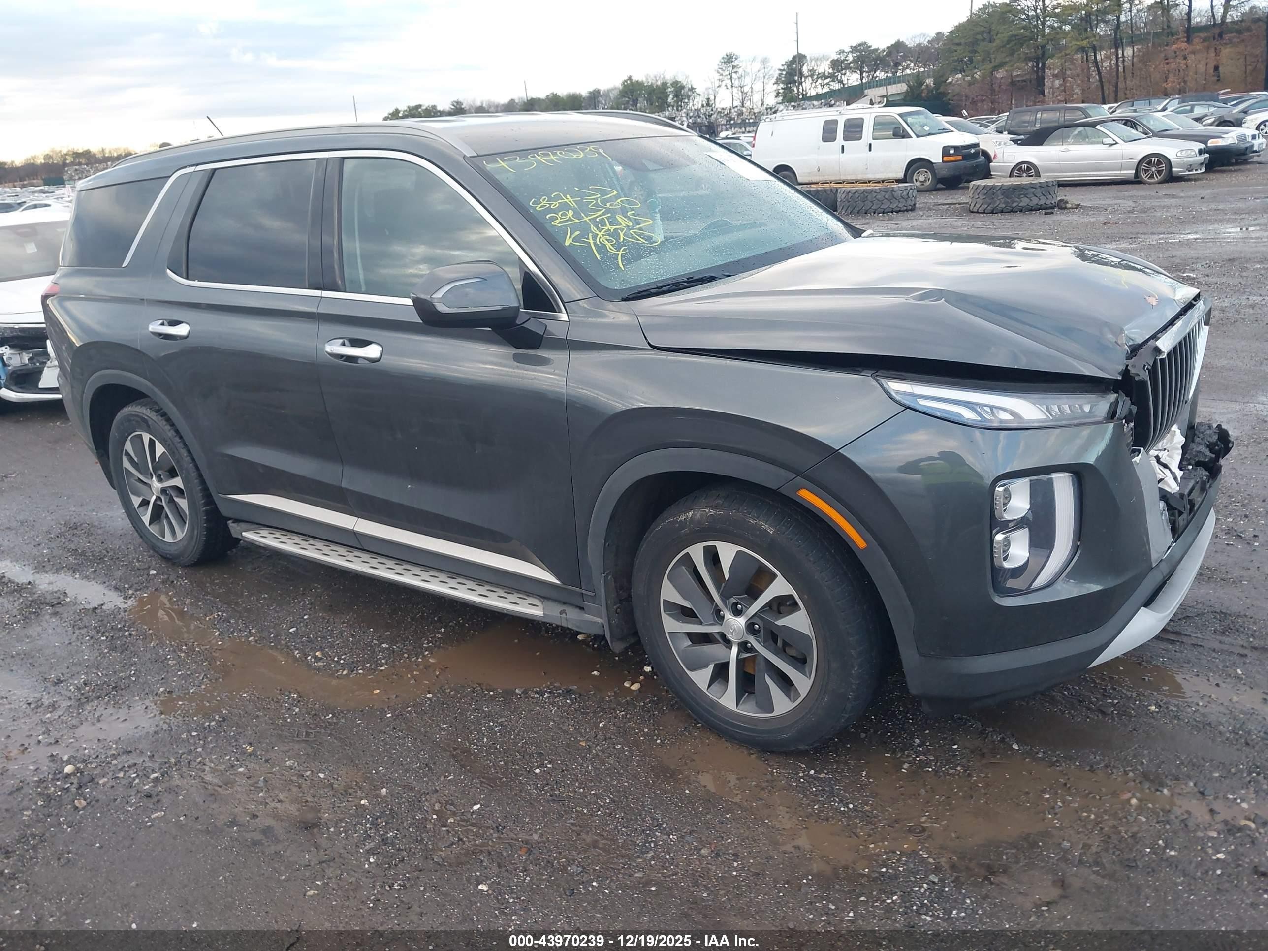 2020 Hyundai Palisade SEL, VIN KM8R2DHE5LU036476 — All over