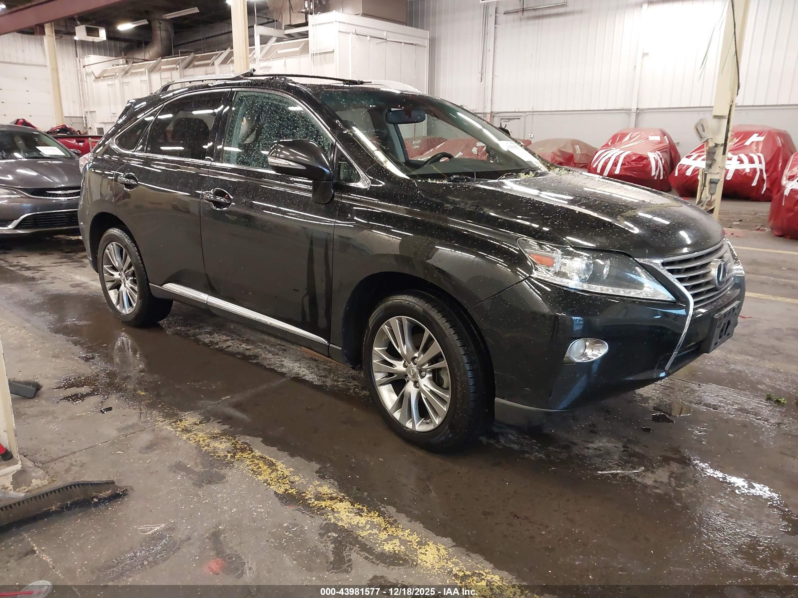 2014 Lexus RX 350, VIN JTJBK1BA7E2038509 — Стихия