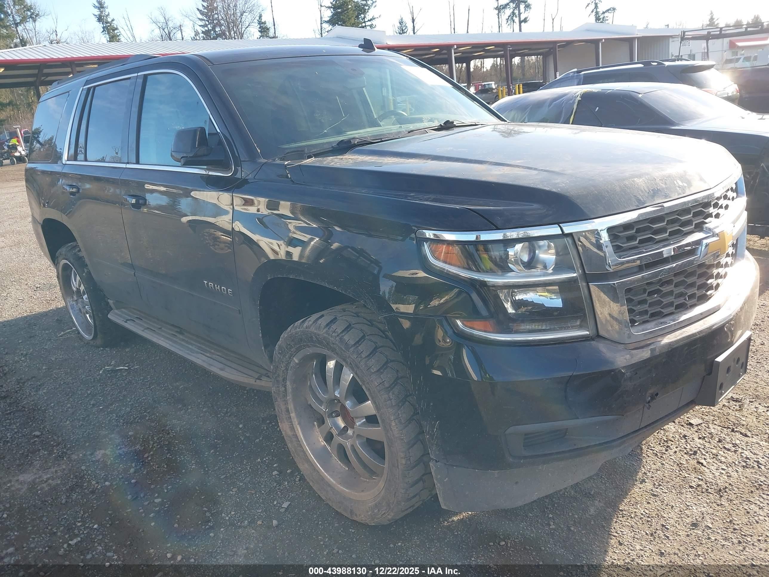 2015 Chevrolet Tahoe LS, VIN 1GNSKAKC1FR116495 — Vandalism