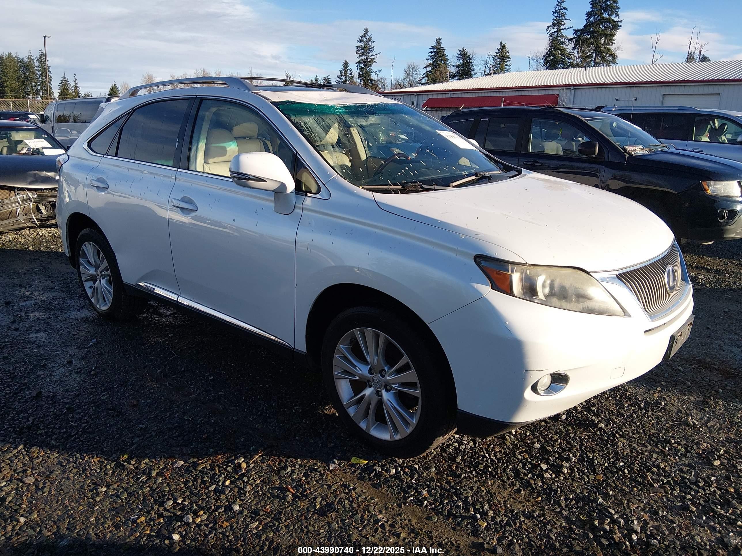 2012 Lexus RX 450h, VIN JTJBC1BA6C2430388 — Стихия