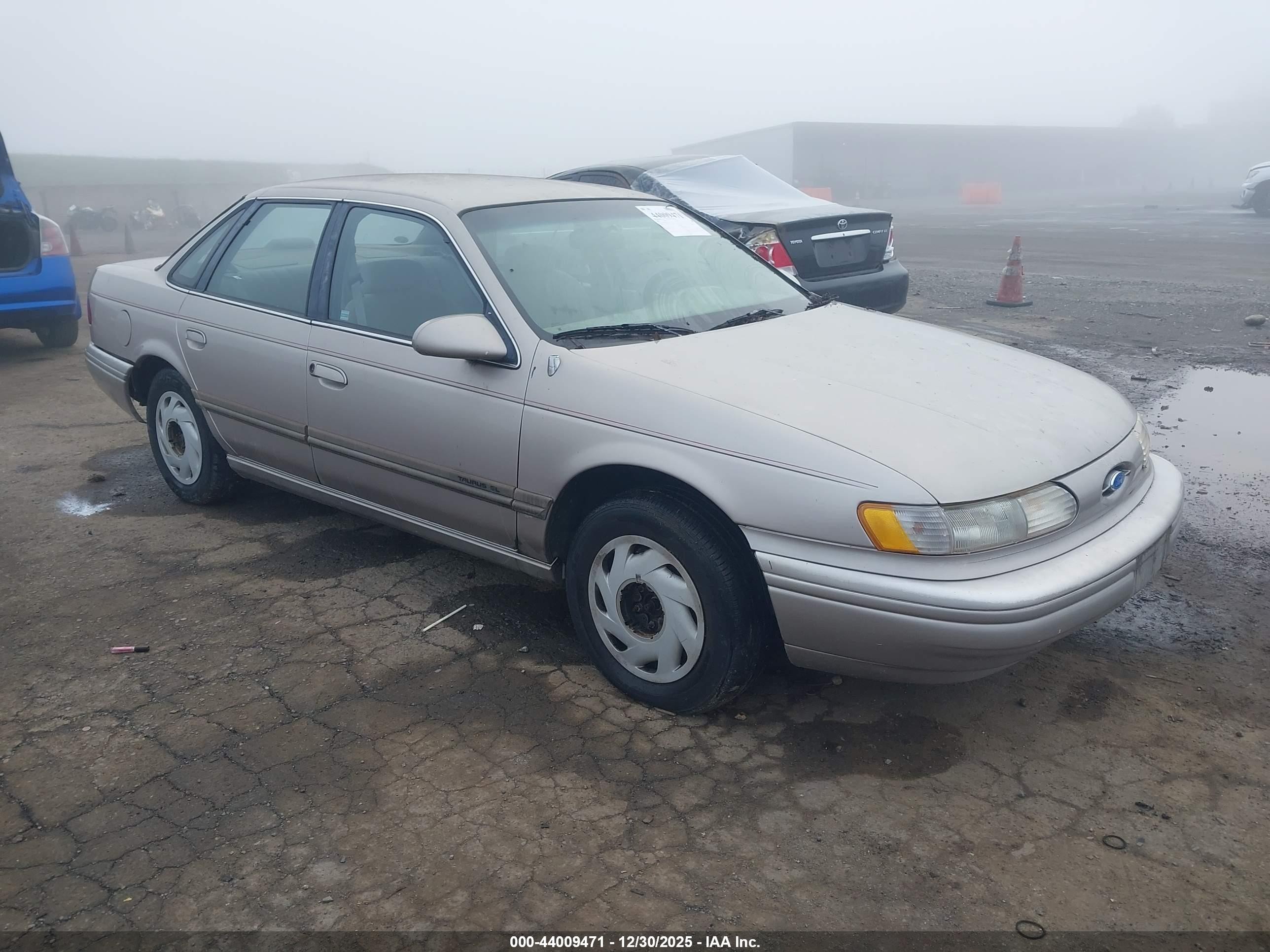 1994 Ford Taurus GL, VIN 1FALP5248RG167612 — Rear end