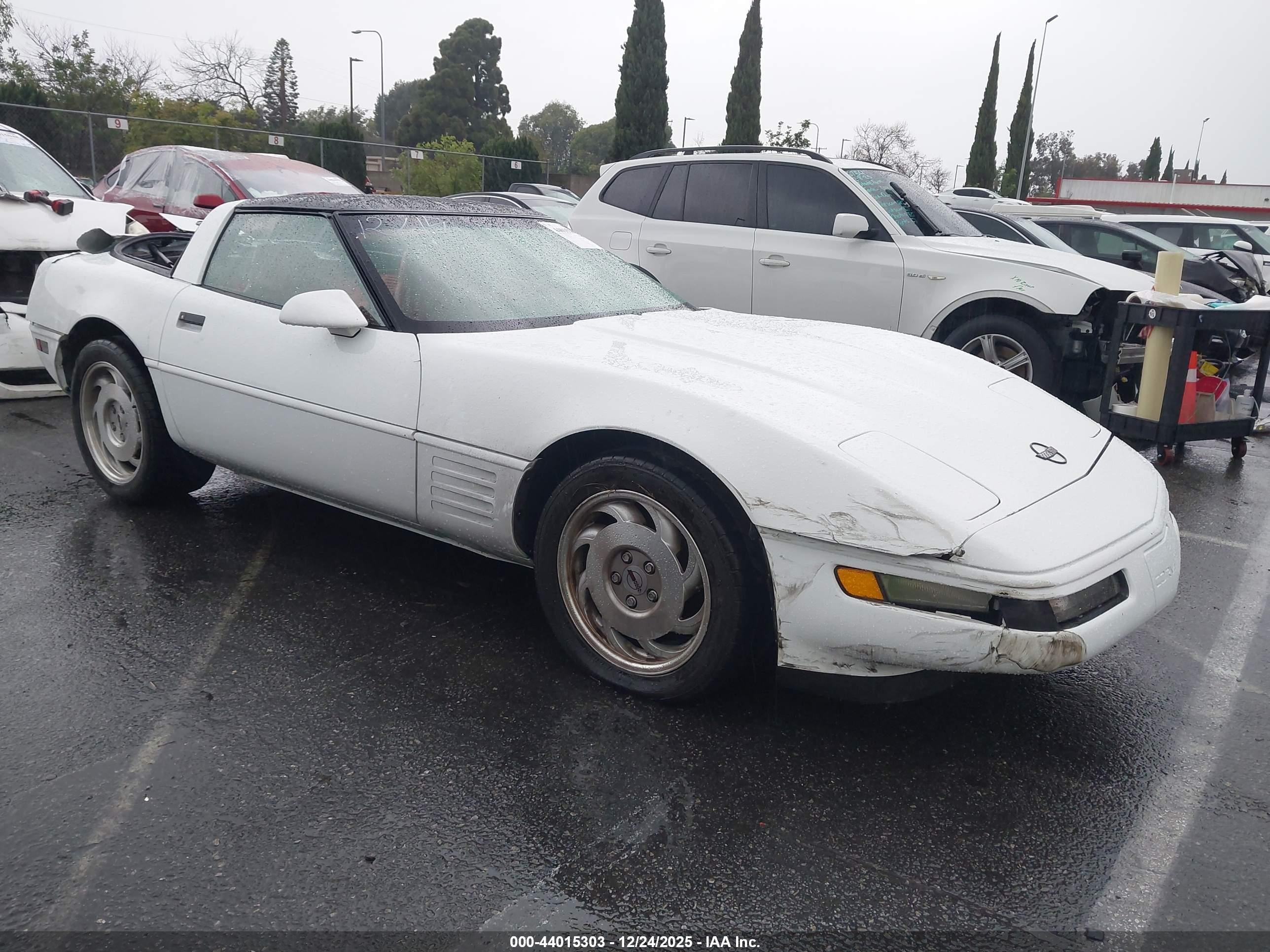 1994 Chevrolet Corvette, VIN 1G1YY22P7R5120422 — Rear end