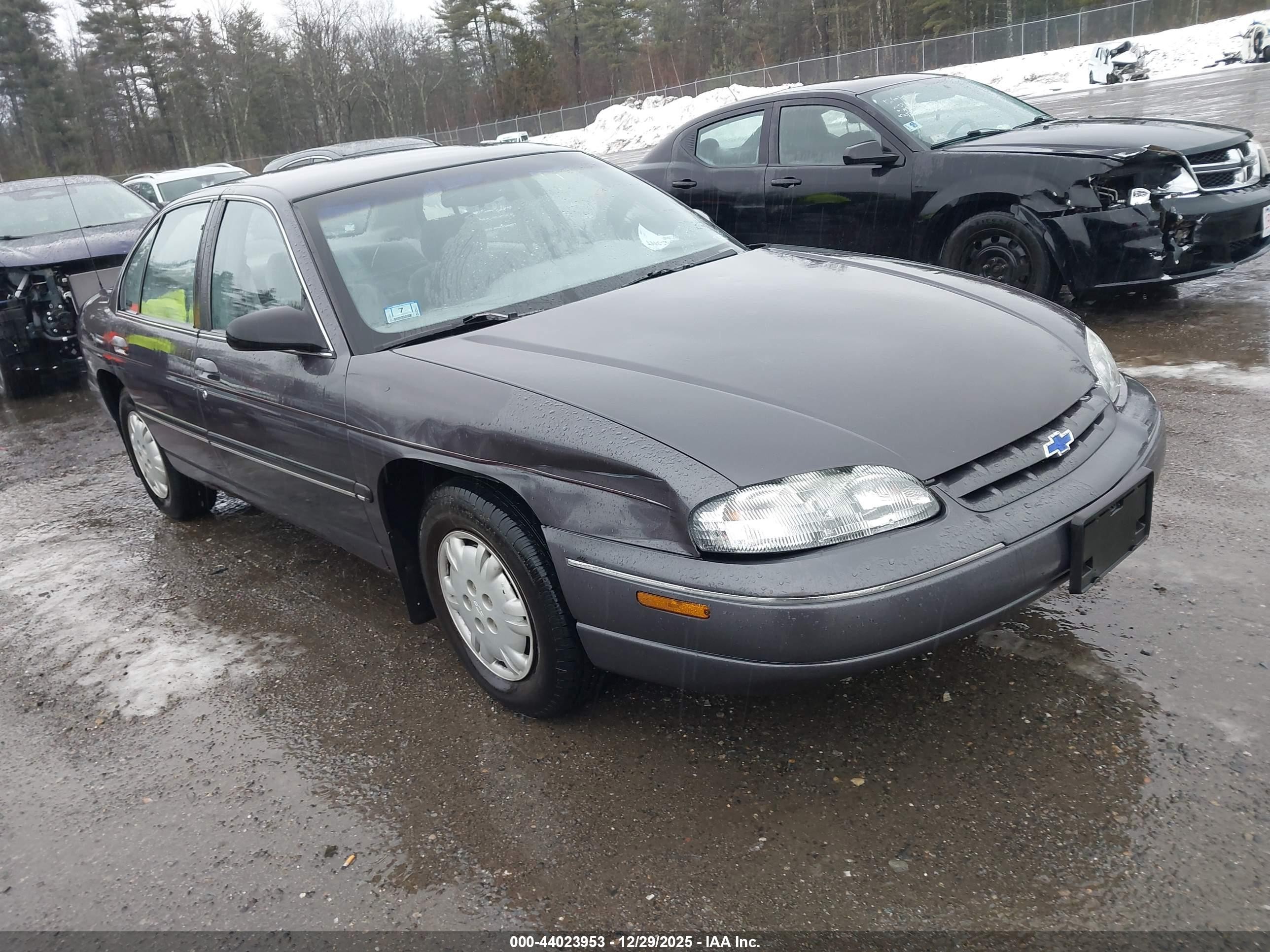 1996 Chevrolet Lumina, VIN 2G1WL52M6T9175161 — Front end