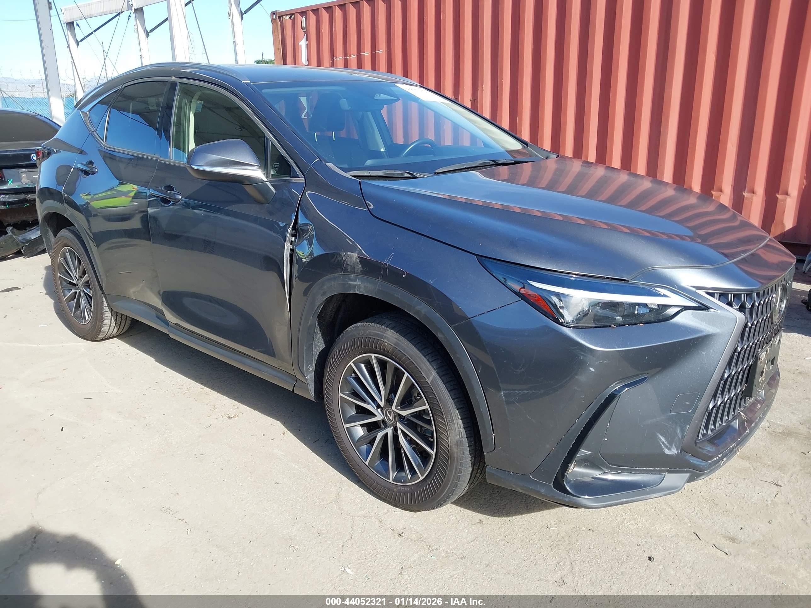 2024 Lexus NX 250, VIN JTJADCAZ2R5013739 — Fresh water flood