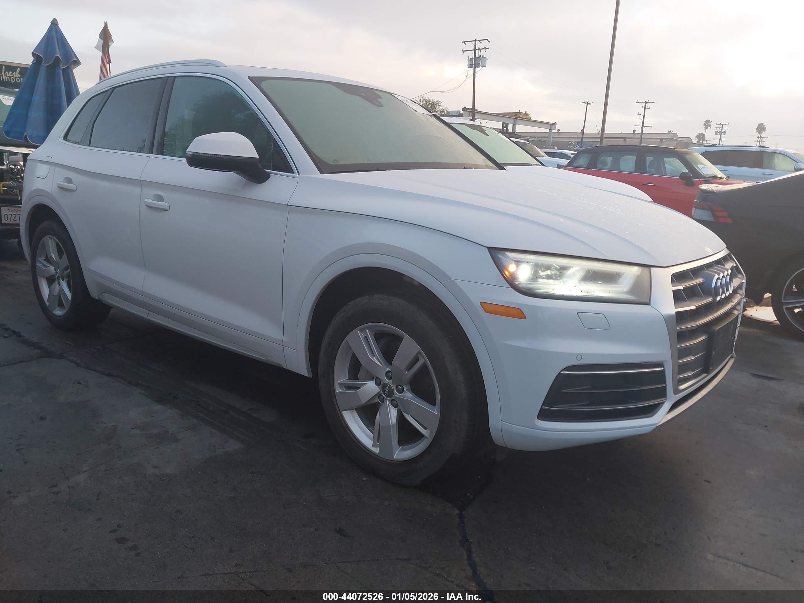 2019 Audi Q5 Premium Plus, VIN WA1BNAFY5K2051265 — Fresh water flood