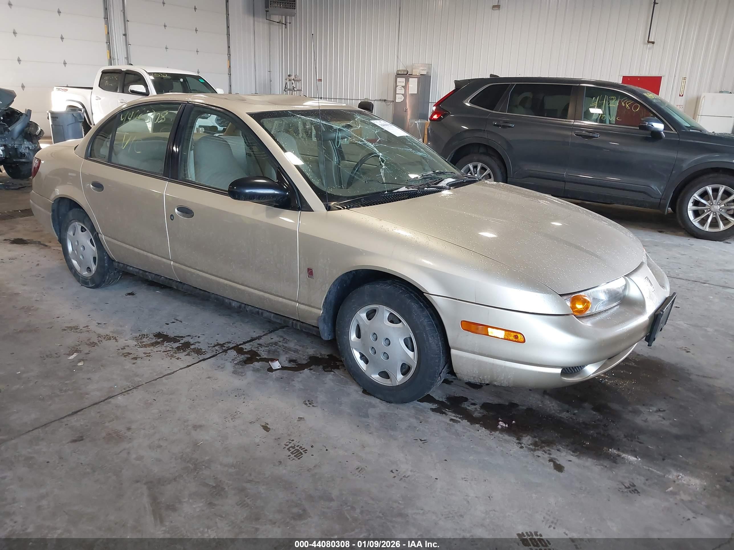 2002 Saturn SL, VIN 1G8ZH52832Z100666 — Крыша