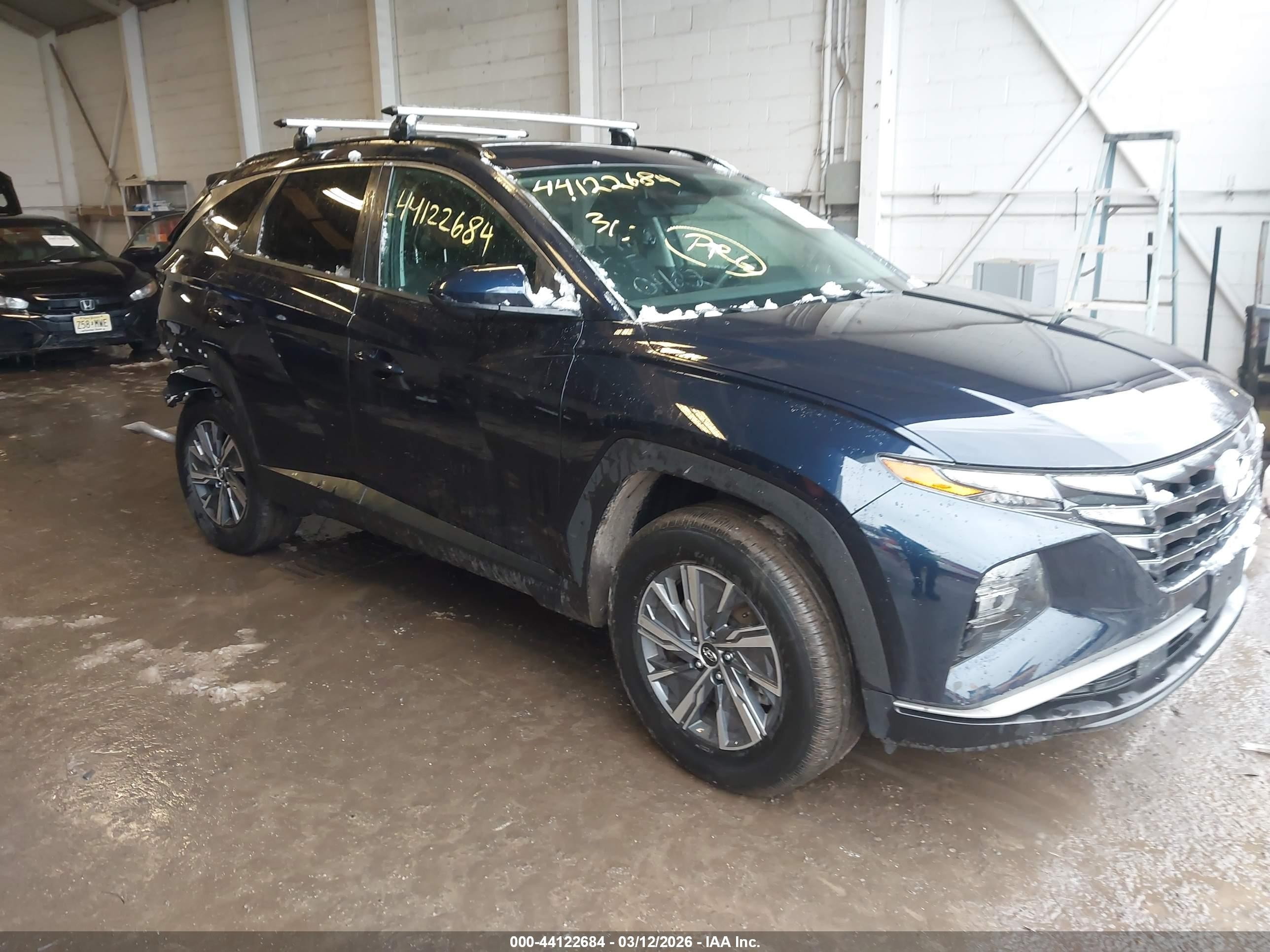 2024 Hyundai Tucson Blue, VIN KM8JBCD1XRU229645 — Rear end