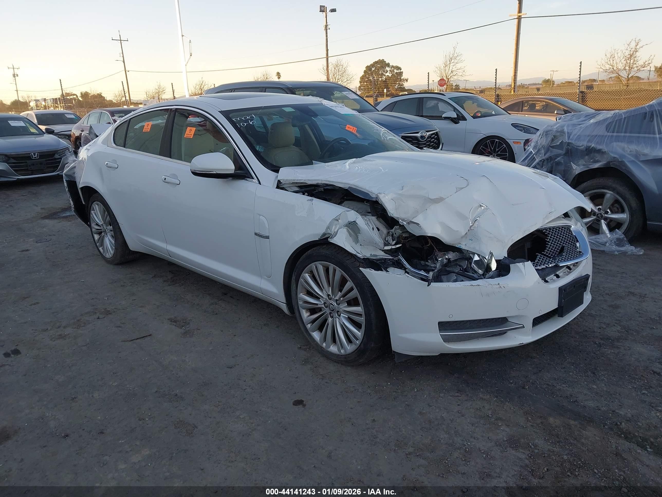 2011 Jaguar XF Premium, VIN SAJWA0GB7BLR82143 — Biohazard / chemical