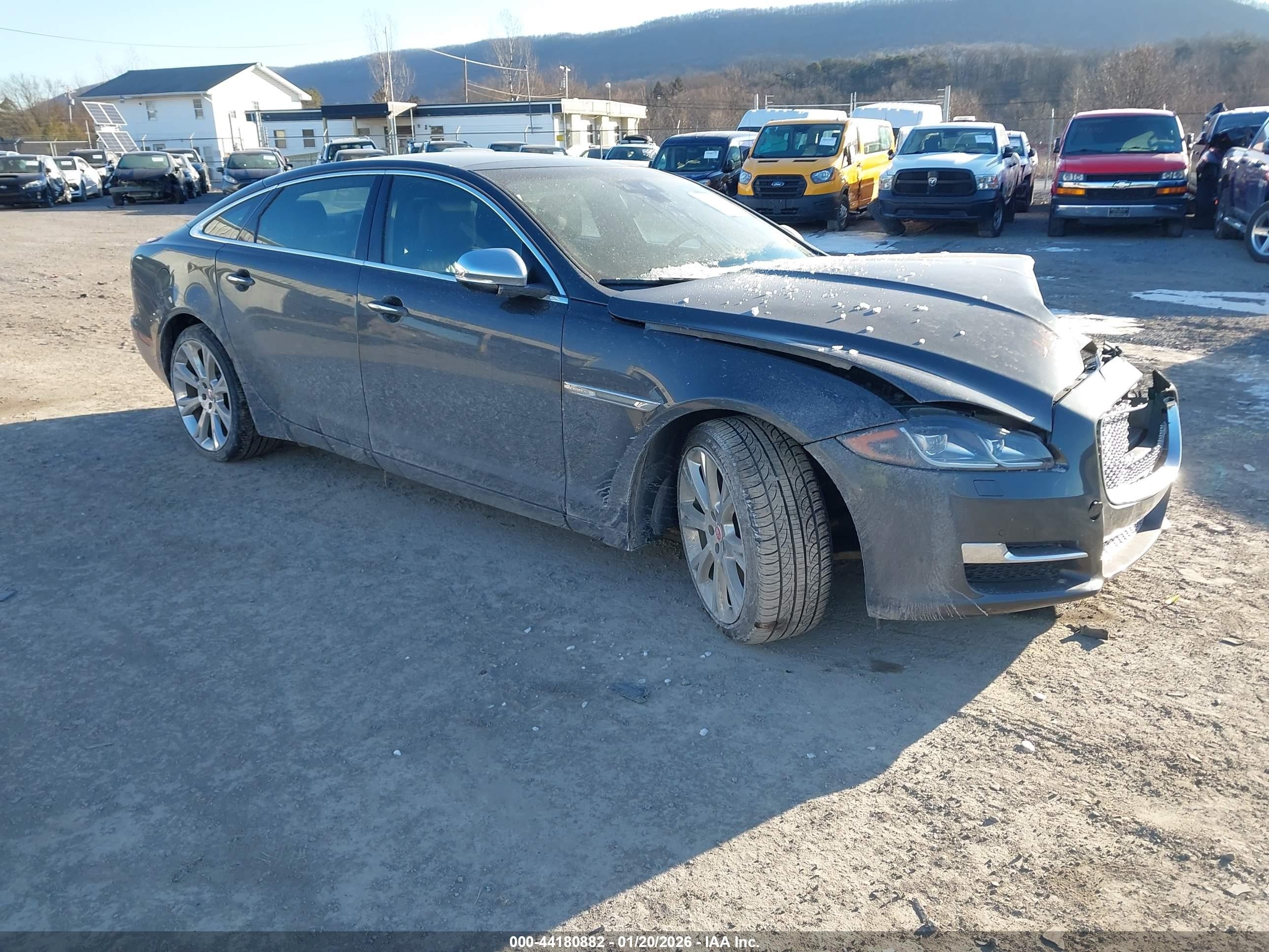 2019 Jaguar XJ Portfolio, VIN SAJWJ2GD0K8W21031 — Front end