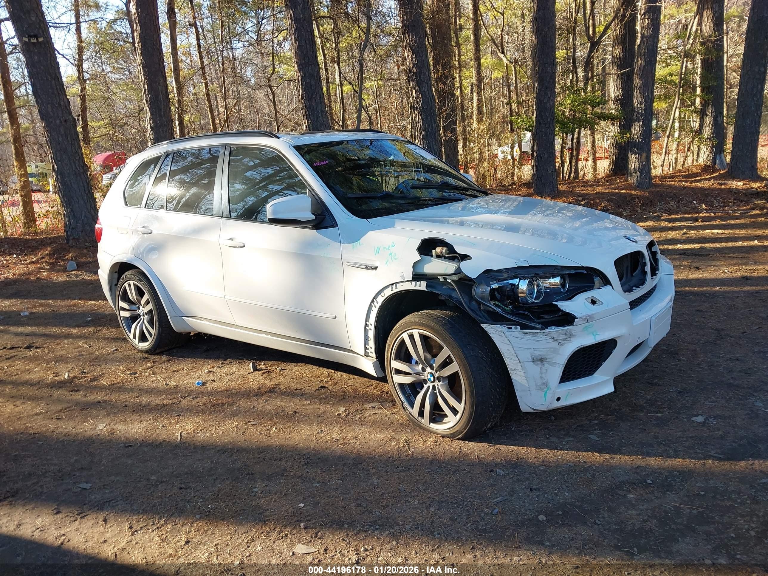 2013 BMW X5 M, VIN 5YMGY0C50D0C11830 — Front end