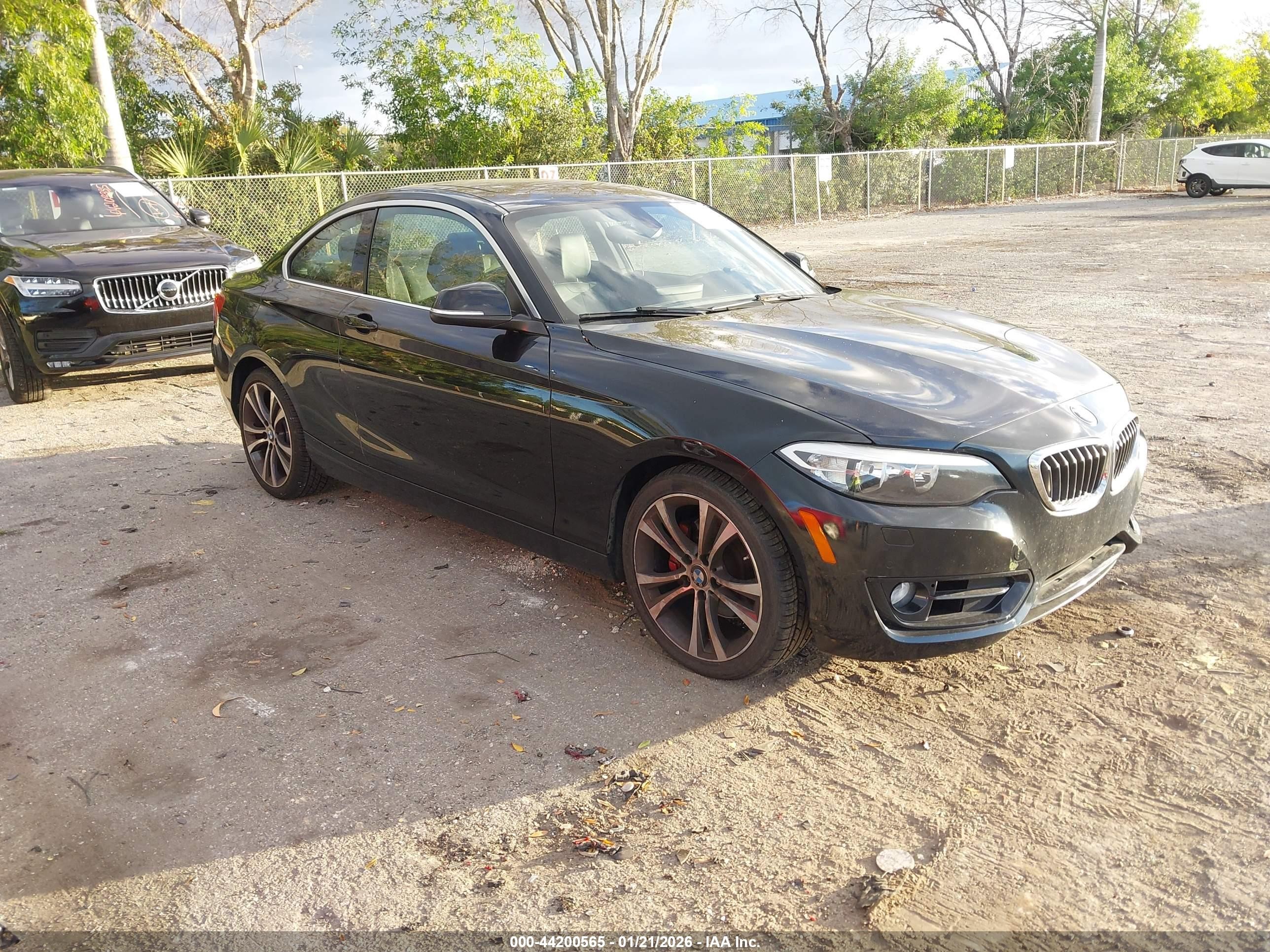 2015 BMW 2 Series 228i xDrive, VIN WBA1F7C59FV367281 — Front end