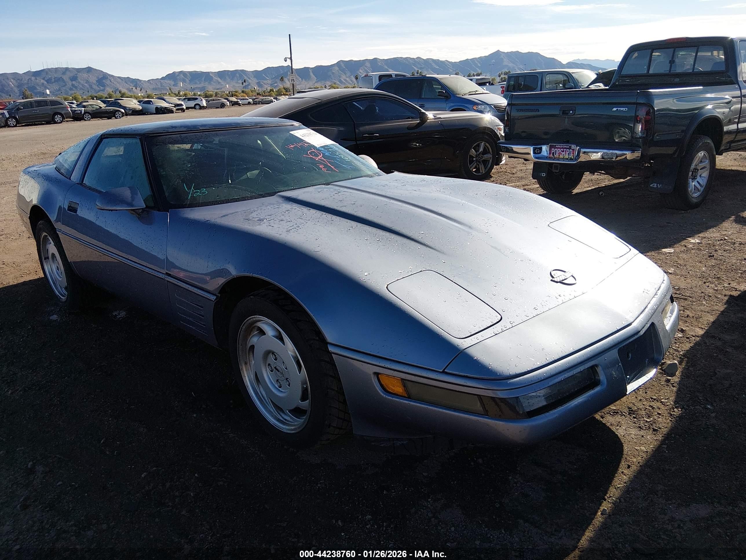 1991 Chevrolet Corvette, VIN 1G1YY2386M5101571 — Normal wear