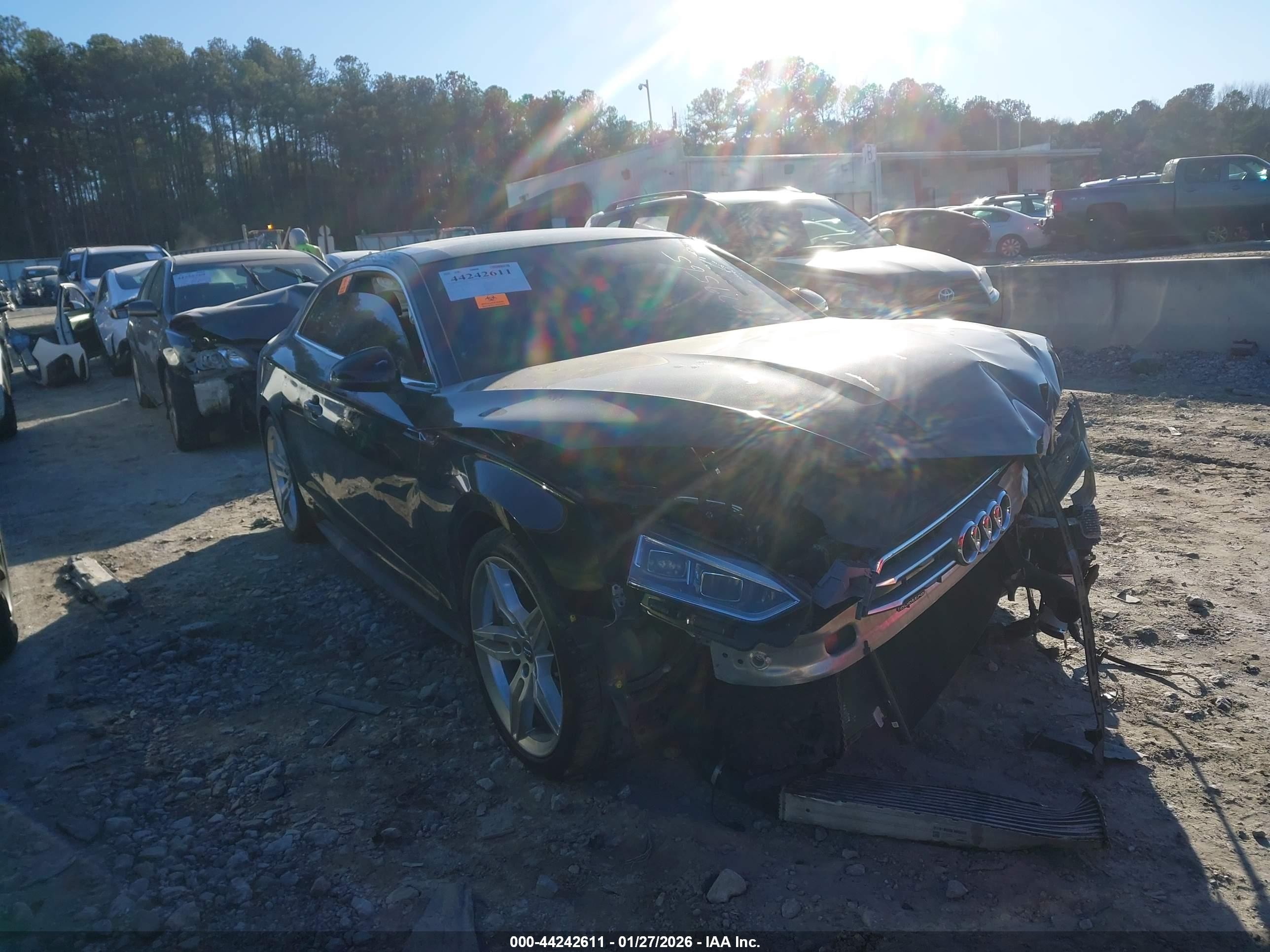 2019 Audi A5 Premium Plus, VIN WAUTNAF5XKA079565 — Biohazard / chemical