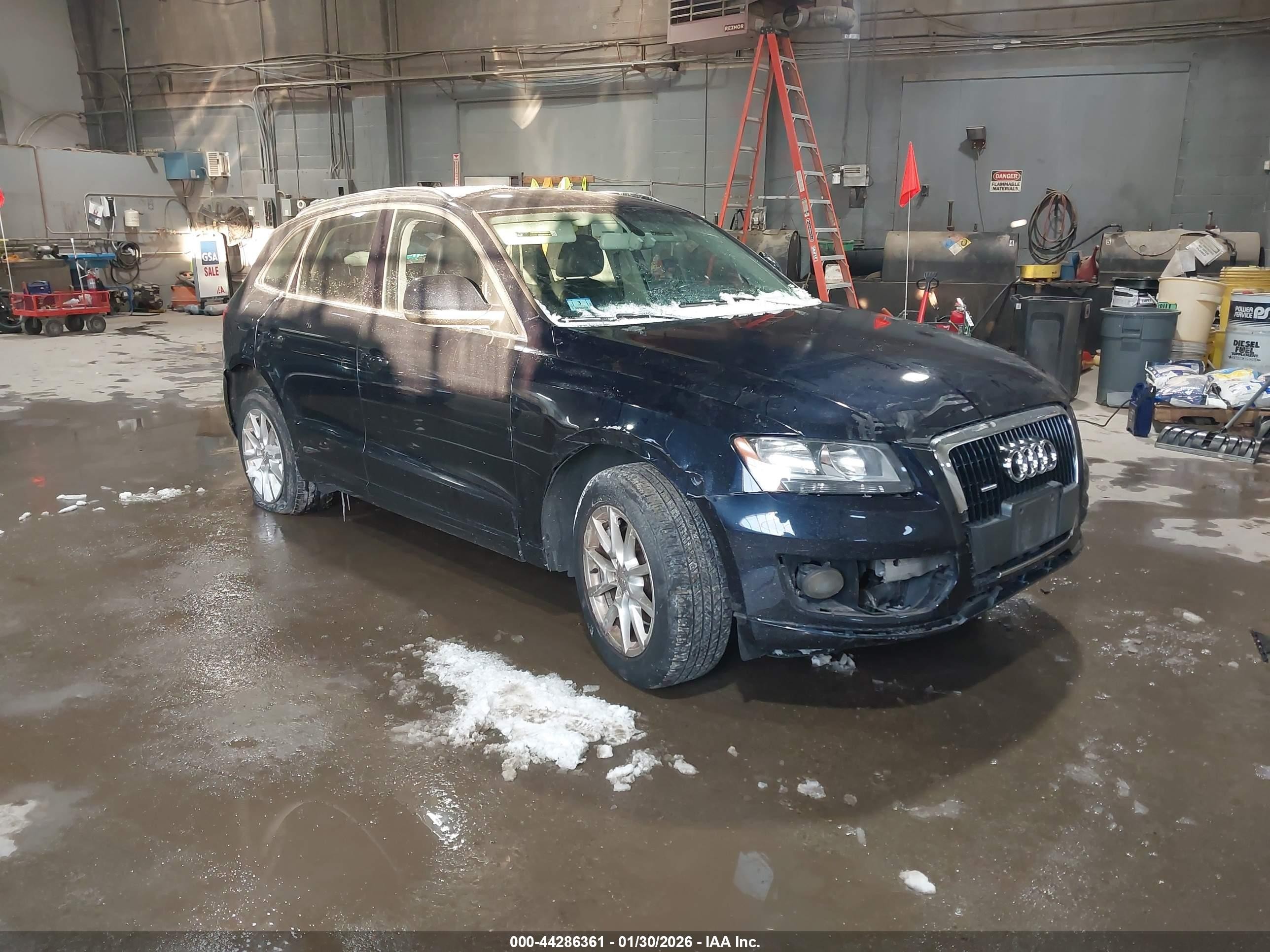 2011 Audi Q5 Premium, VIN WA1CFAFPXBA031060 — Front end