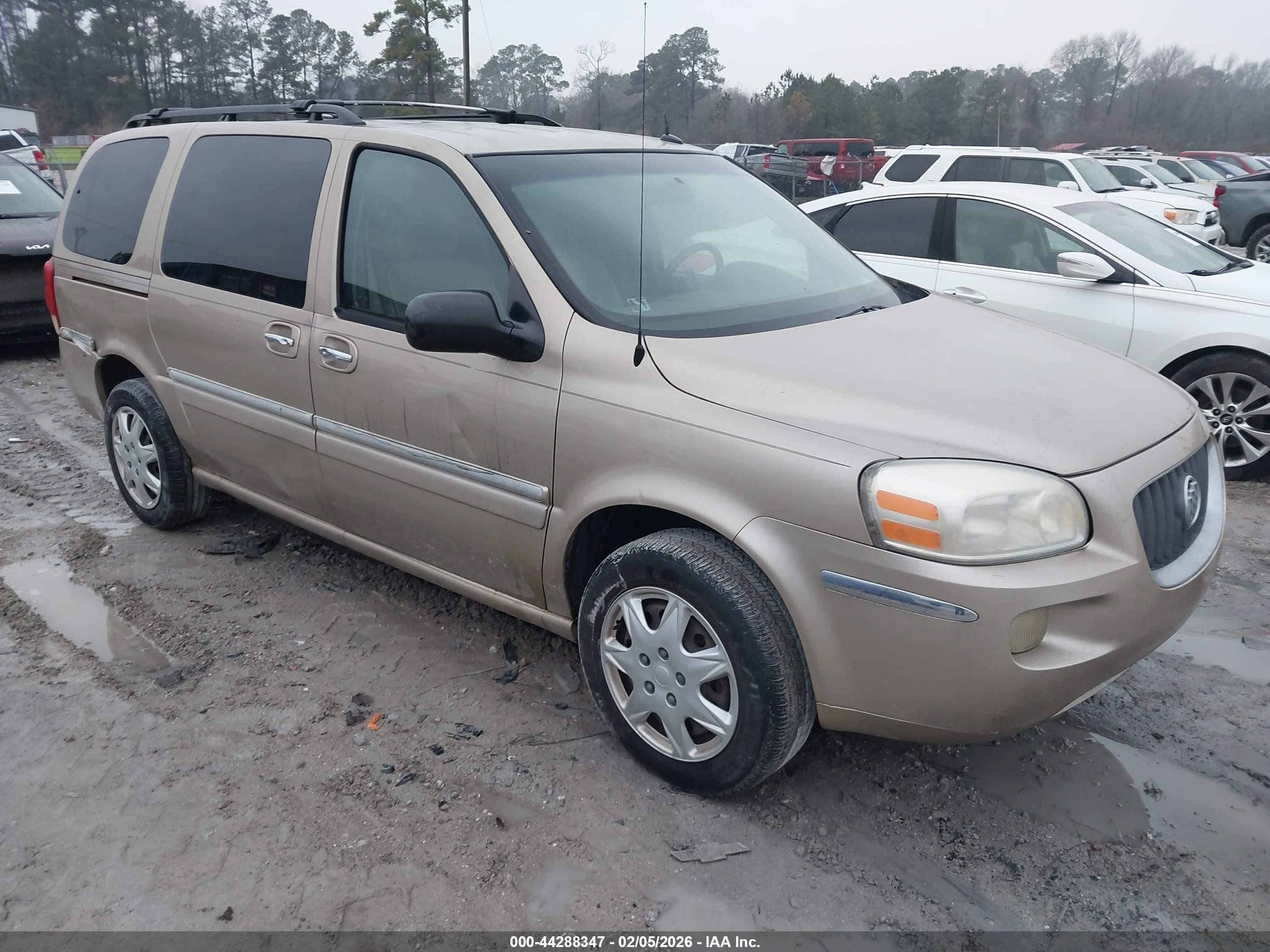 2005 Buick Terraza CX, VIN 5GADV23L95D202440 — Обычный износ