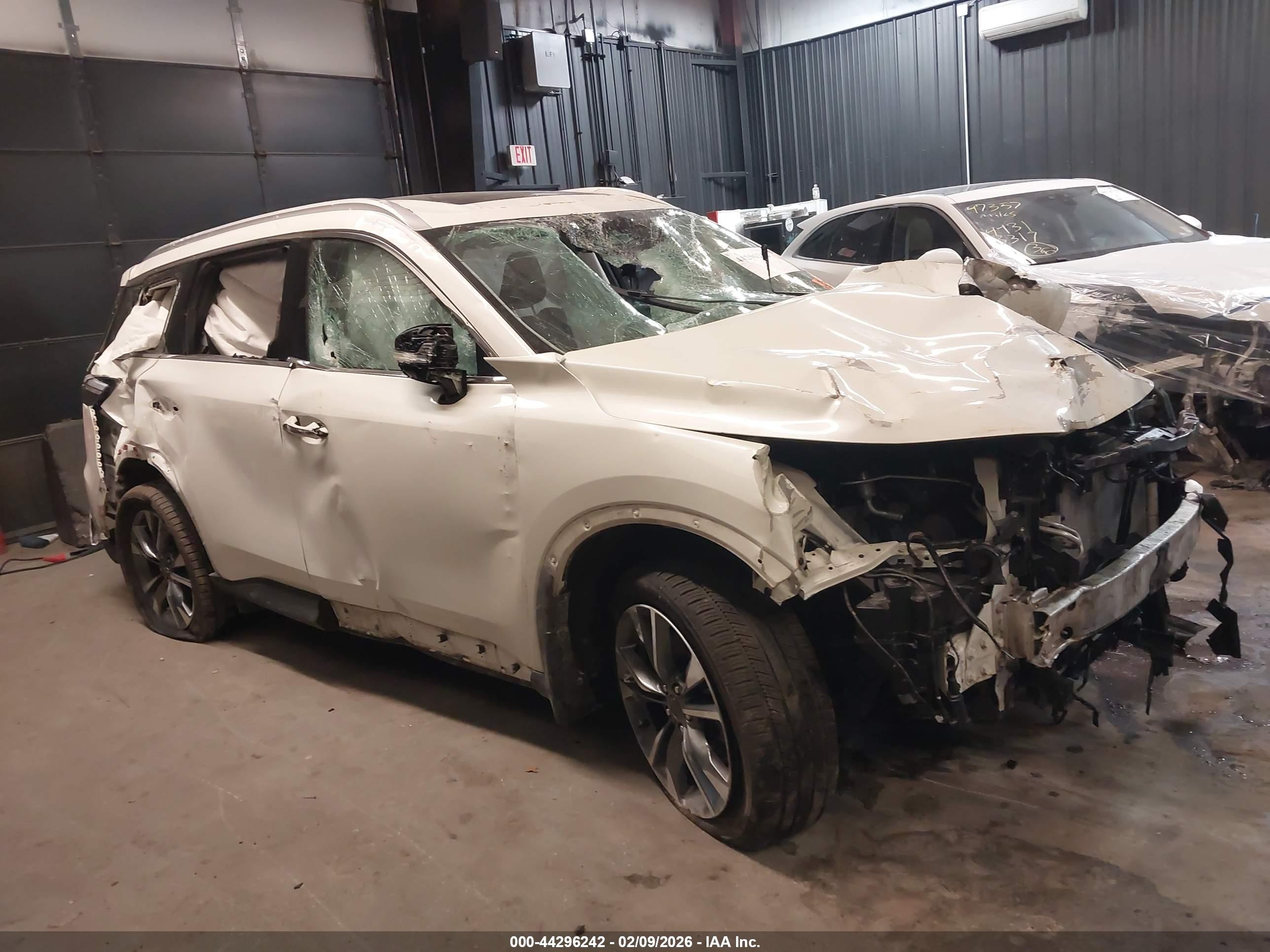 2023 Infiniti QX60 Luxe, VIN 5N1DL1FS9PC350366 — Biohazard / chemical