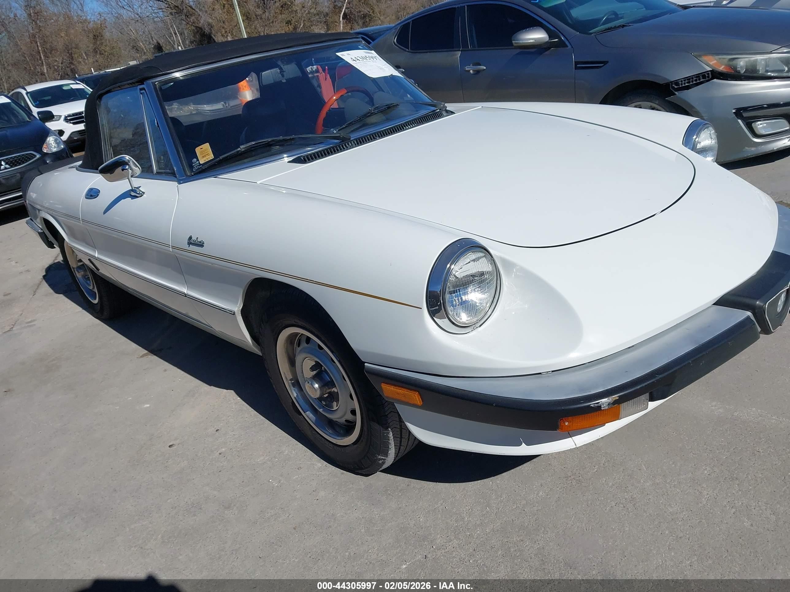 1985 Alfa Romeo Spider Veloce, VIN ZARBA5419F1023274 — Rear end