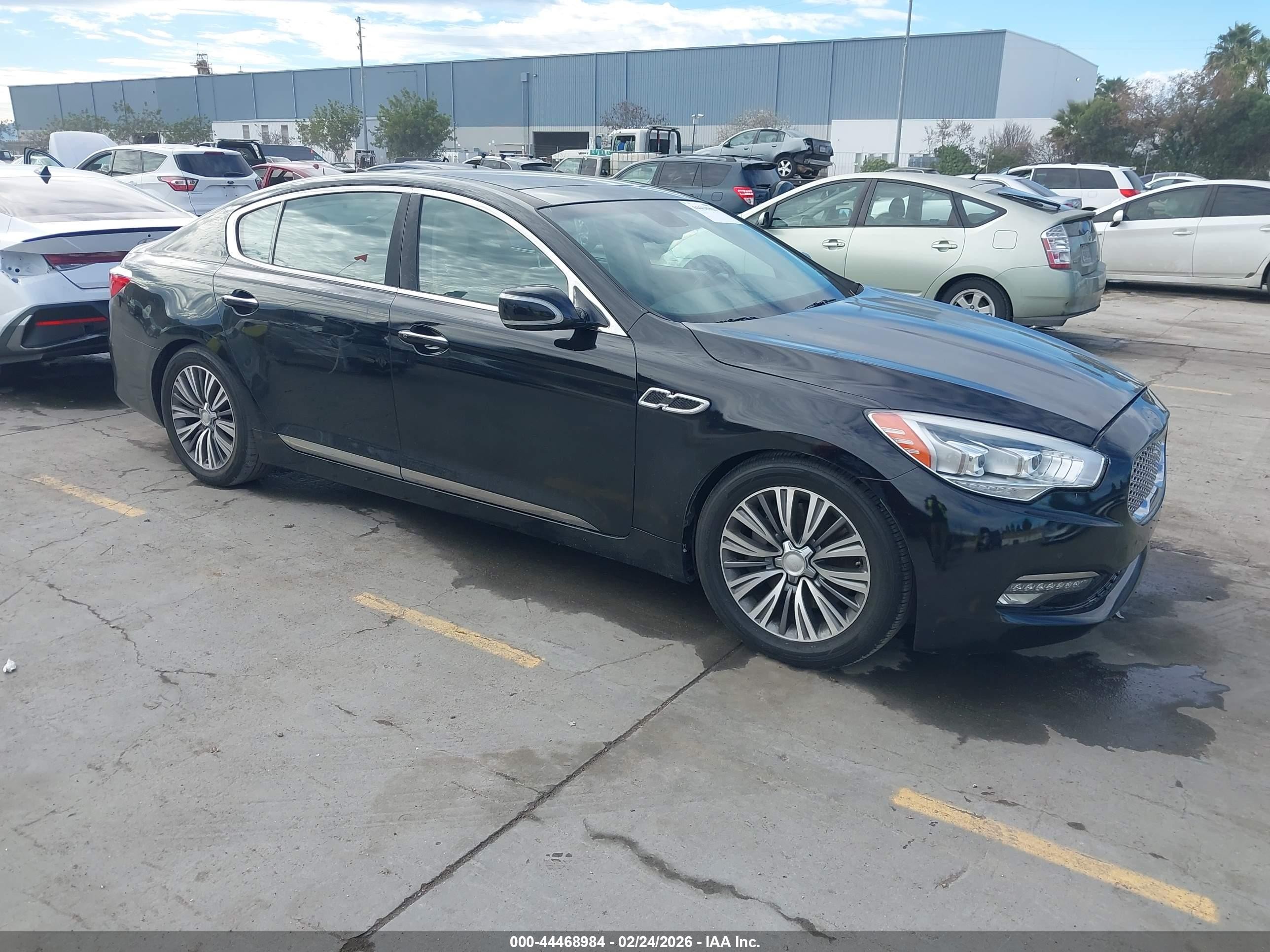 2016 Kia K900 Luxury, VIN KNALU4D33G6032619 — Front end