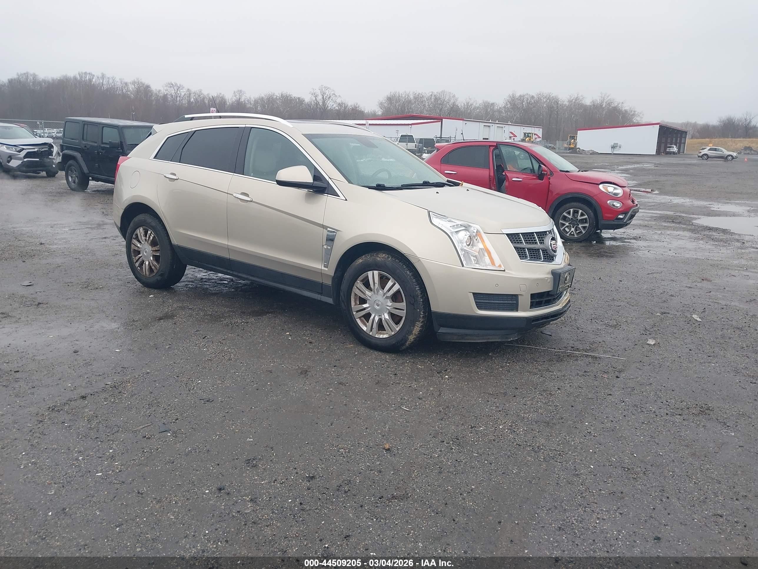 2010 Cadillac SRX Luxury Collection, VIN 3GYFNDEY3AS622856 — Burn