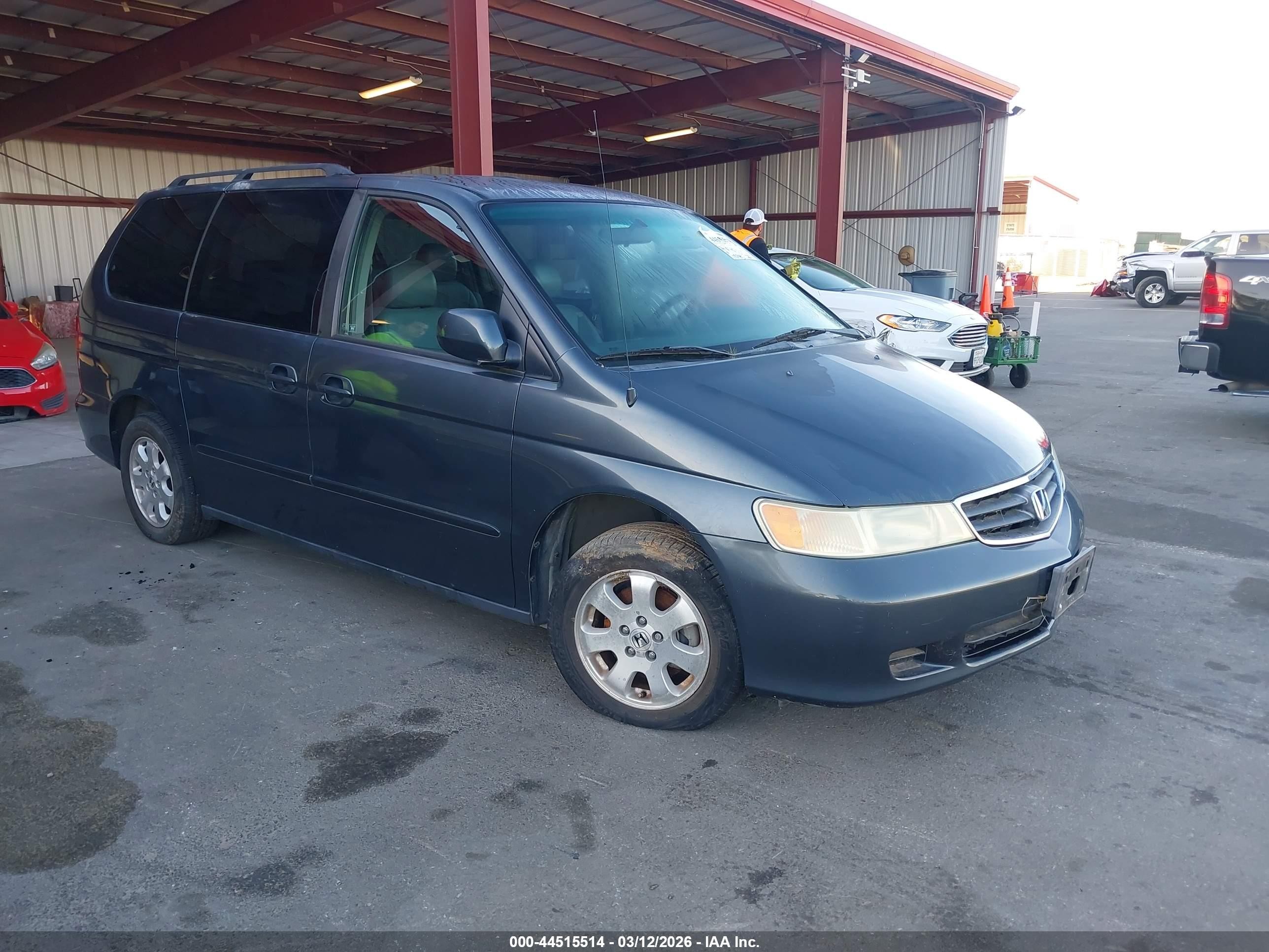 2004 Honda Odyssey EX-L, VIN 5FNRL18704B073317 — Front end