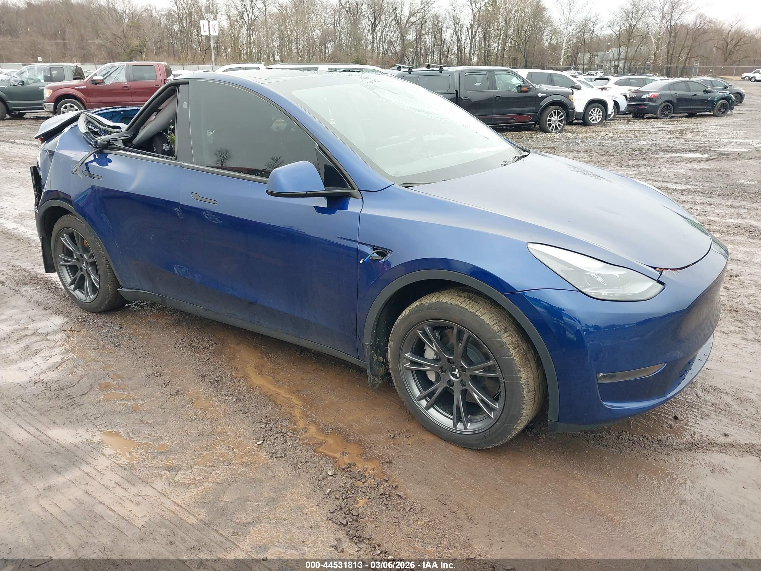 2024 Tesla Model Y Long Range, VIN 7SAYGDEE3RA294650 — Roof