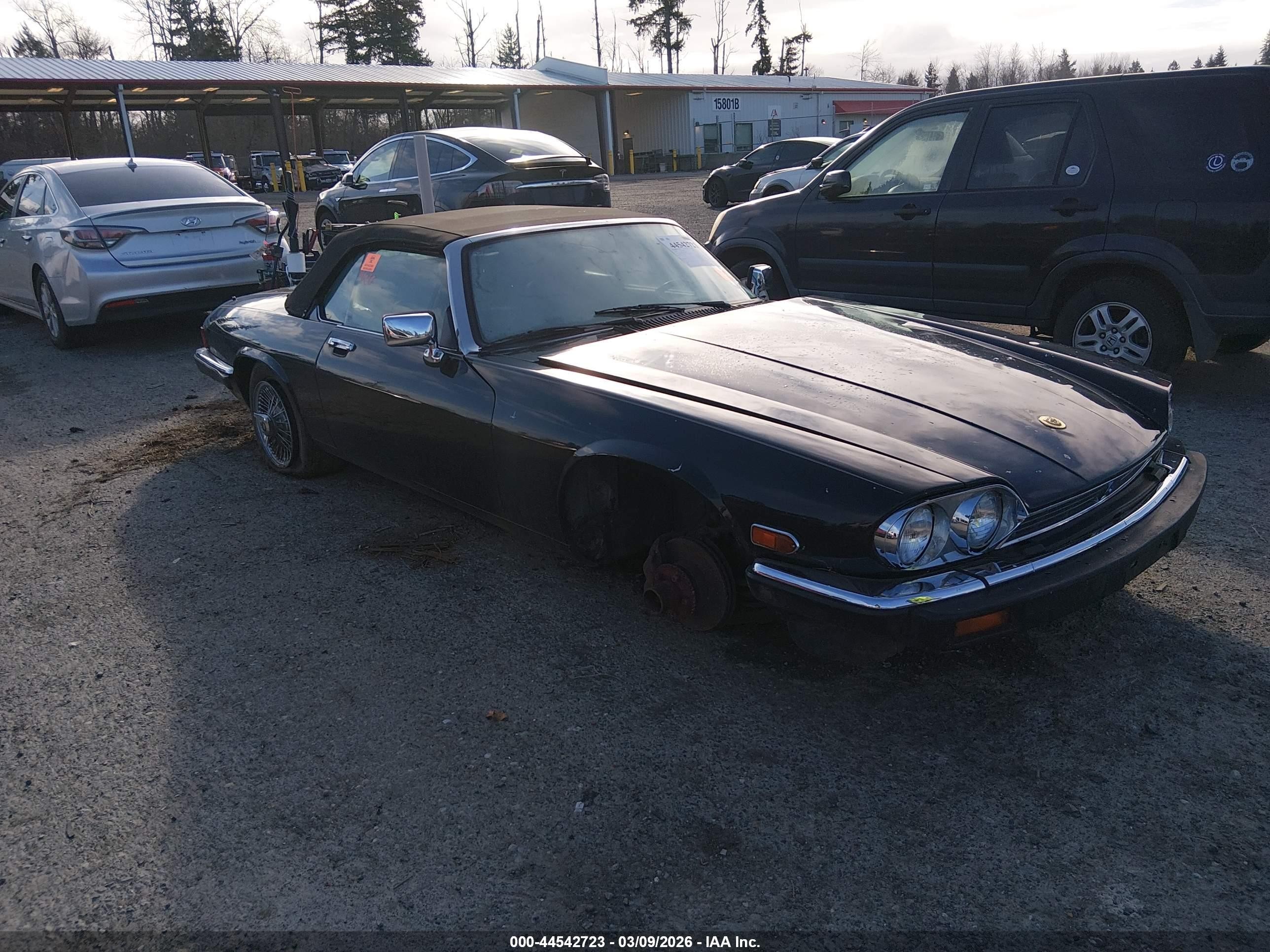1991 Jaguar XJS, VIN SAJTW4845MC178986 — Biohazard / chemical